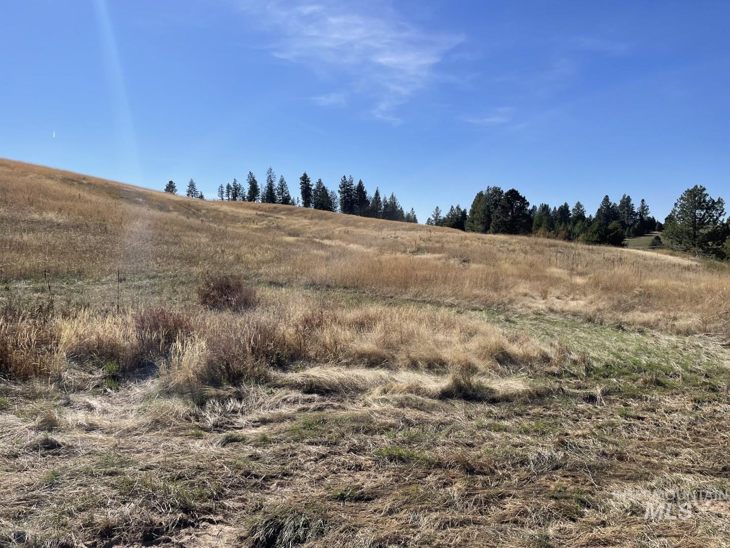 Nka Granlund Property Photo 22