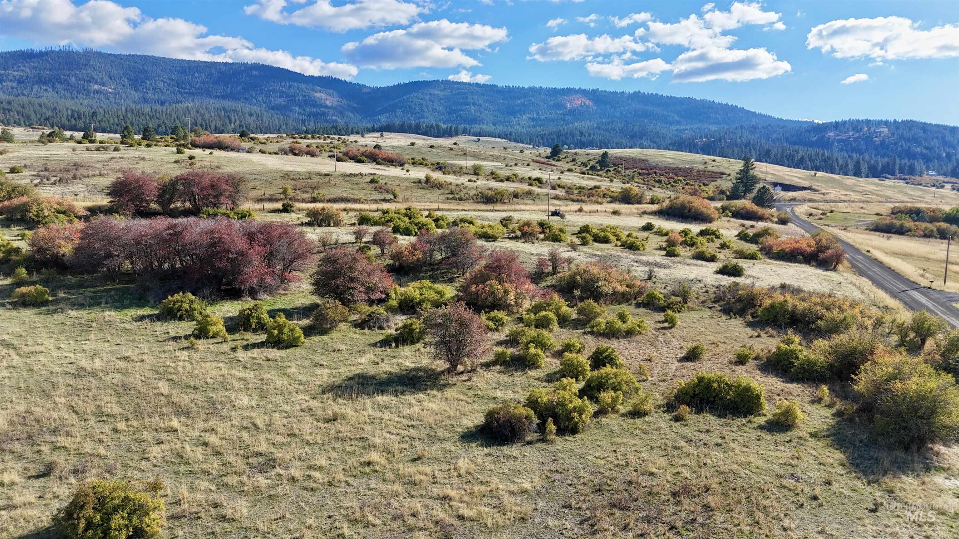 Tbd Old White Bird Hill Rd. 9.28 +/- Acres Property Photo 4
