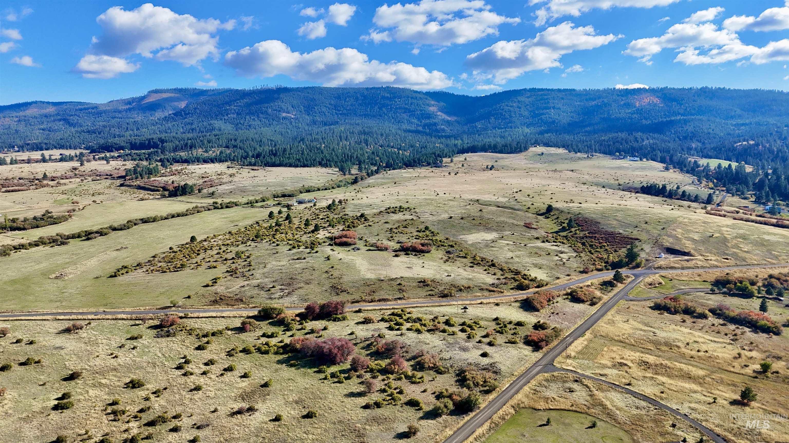 Tbd Old White Bird Hill Rd. 9.28 +/- Acres Property Photo 10