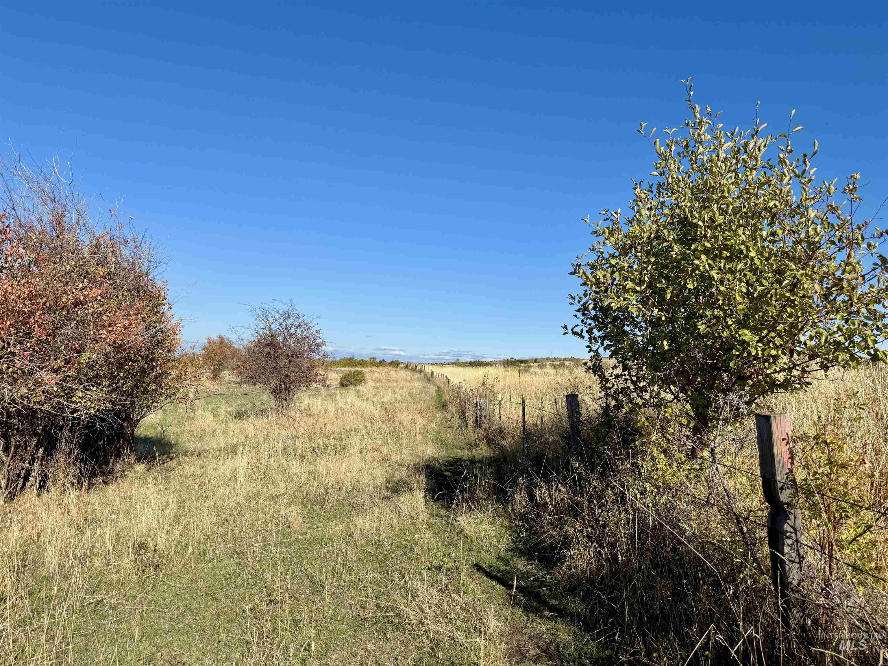 Tbd Old White Bird Hill Rd. 9.28 +/- Acres Property Photo 13