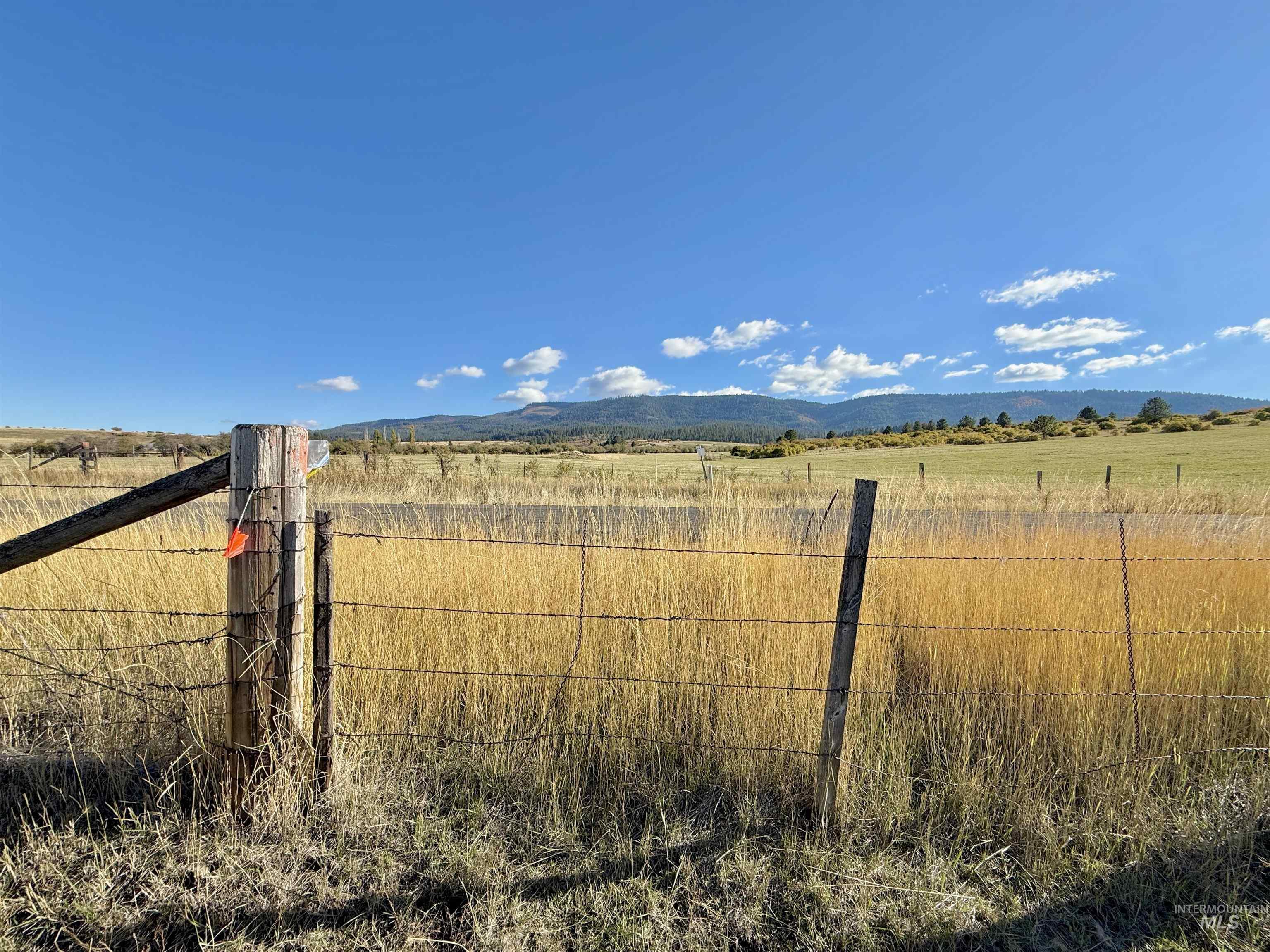 Tbd Old White Bird Hill Rd. 9.28 +/- Acres Property Photo 14