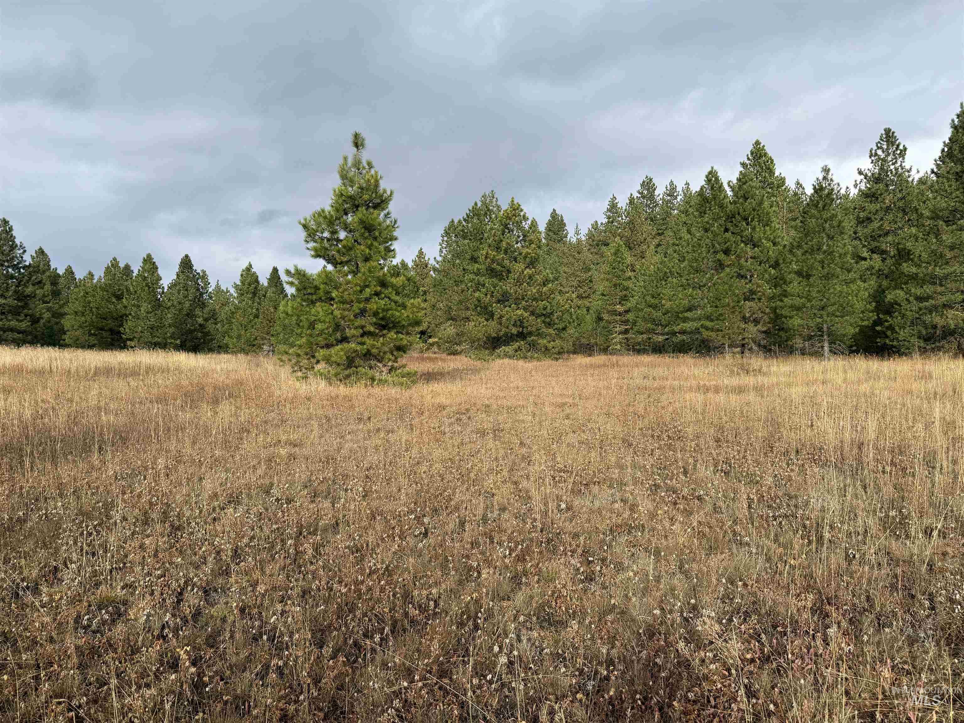 Tbd S Samson Tr Property Photo 2