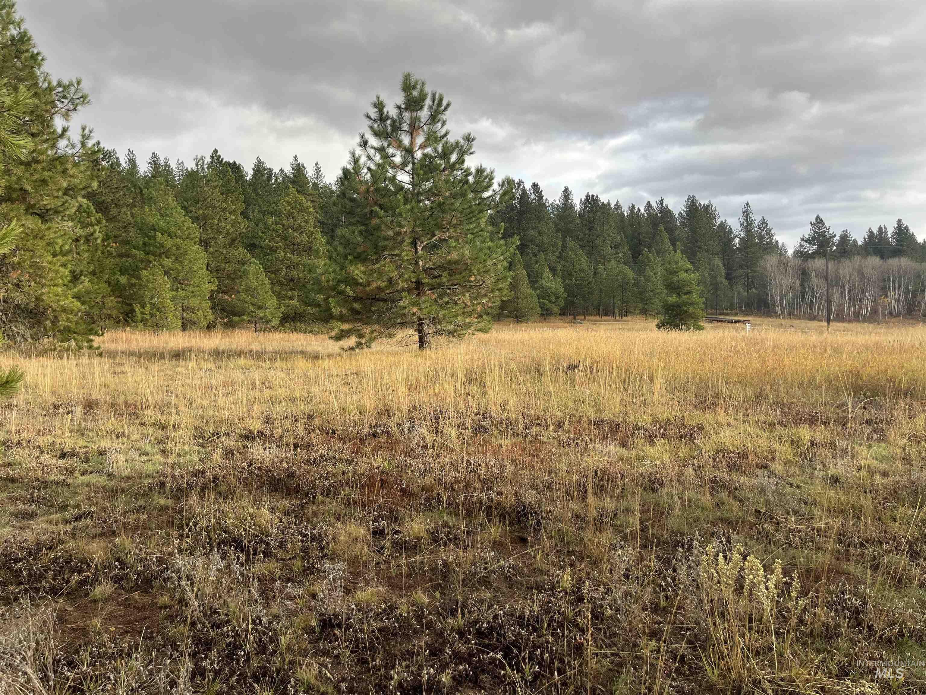 Tbd S Samson Tr Property Photo 3