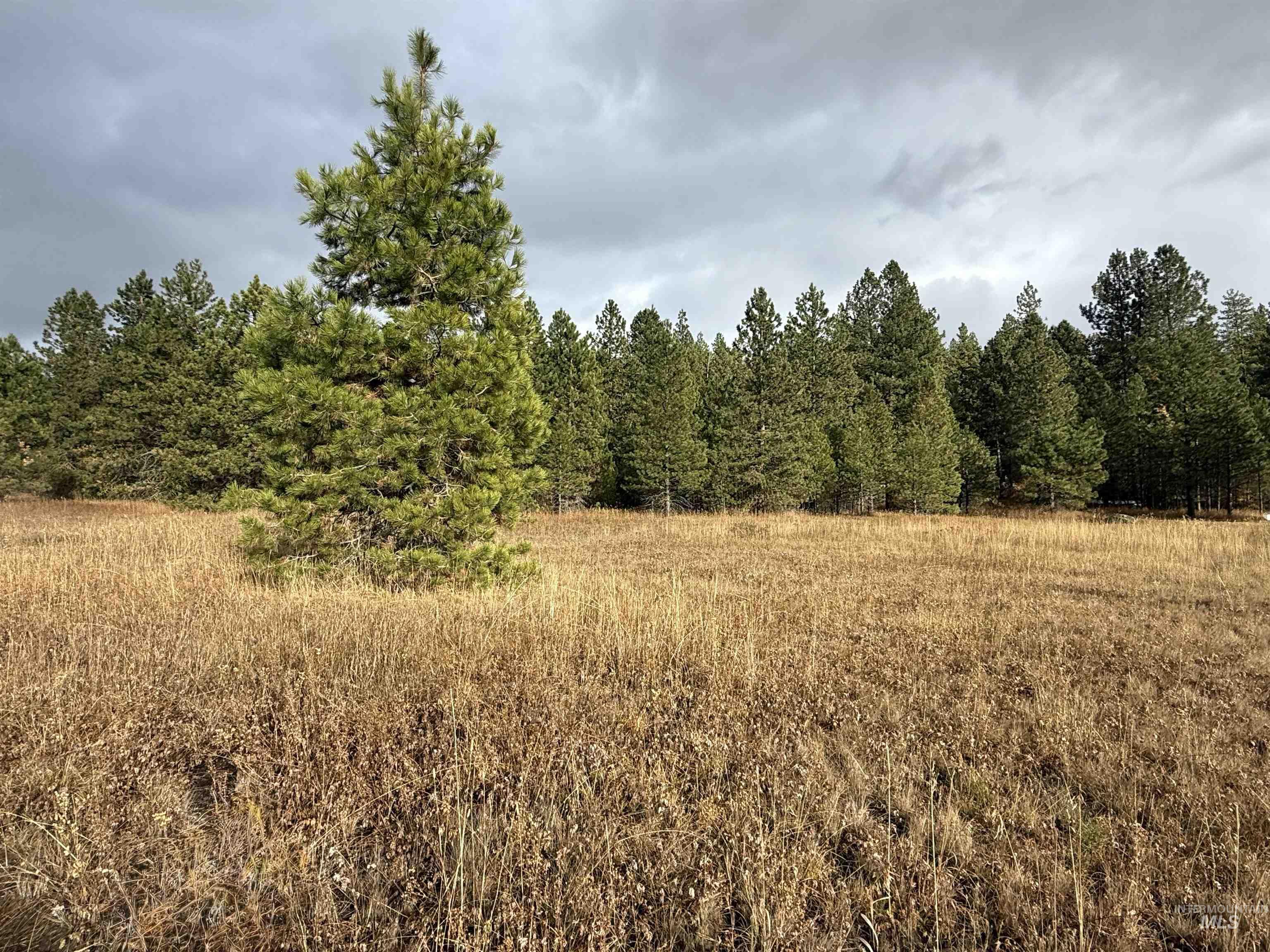 Tbd S Samson Tr Property Photo 4