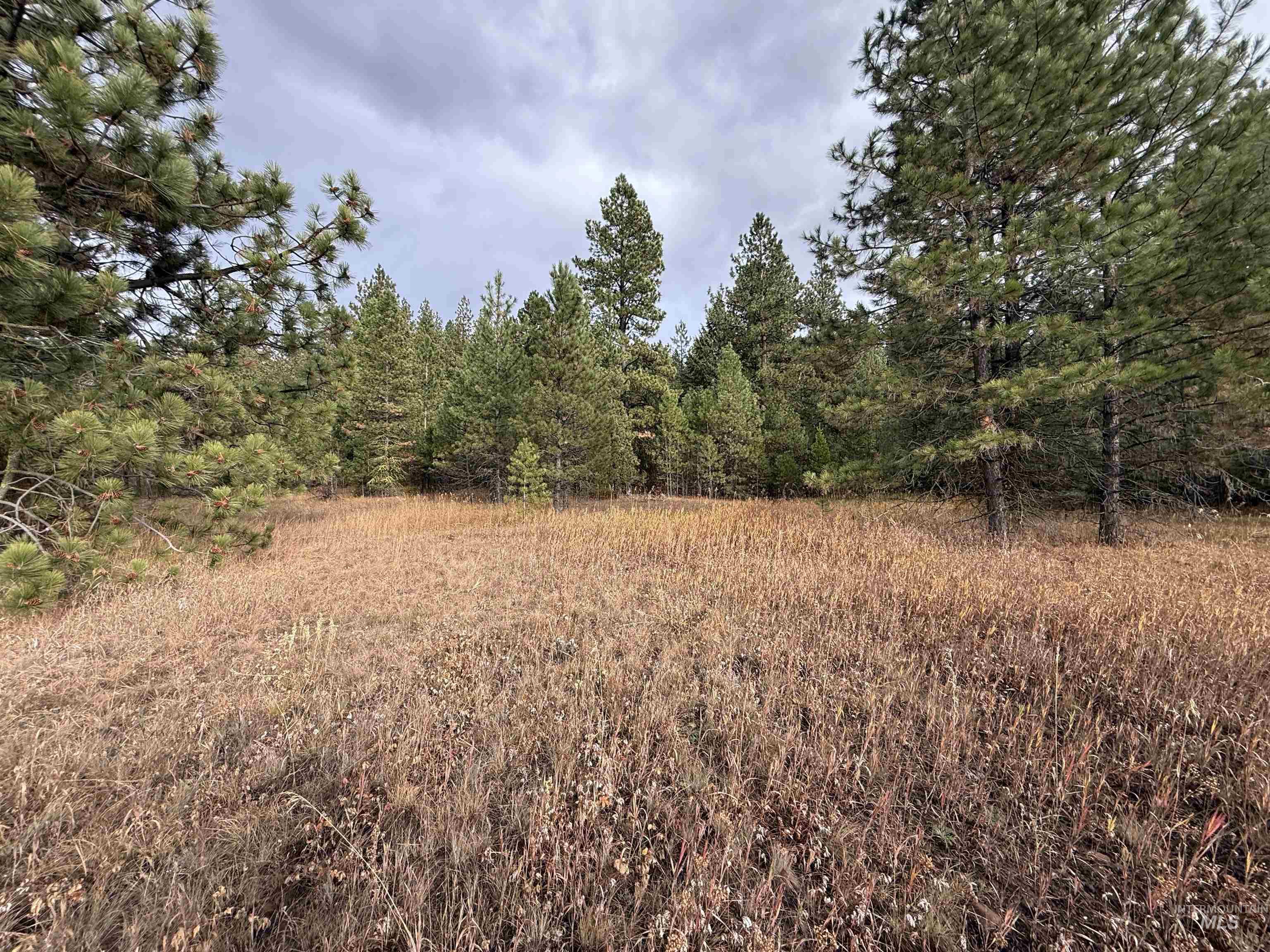 Tbd S Samson Tr Property Photo 5