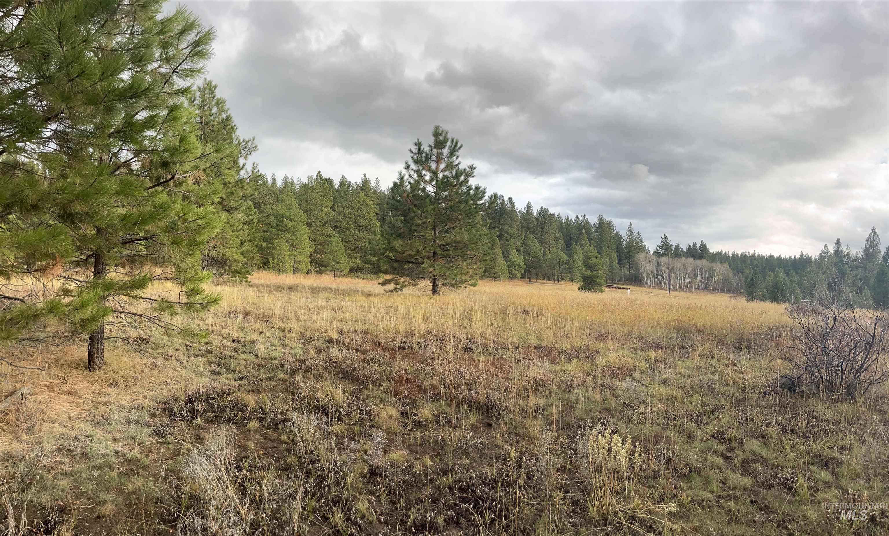 Tbd S Samson Tr Property Photo 6