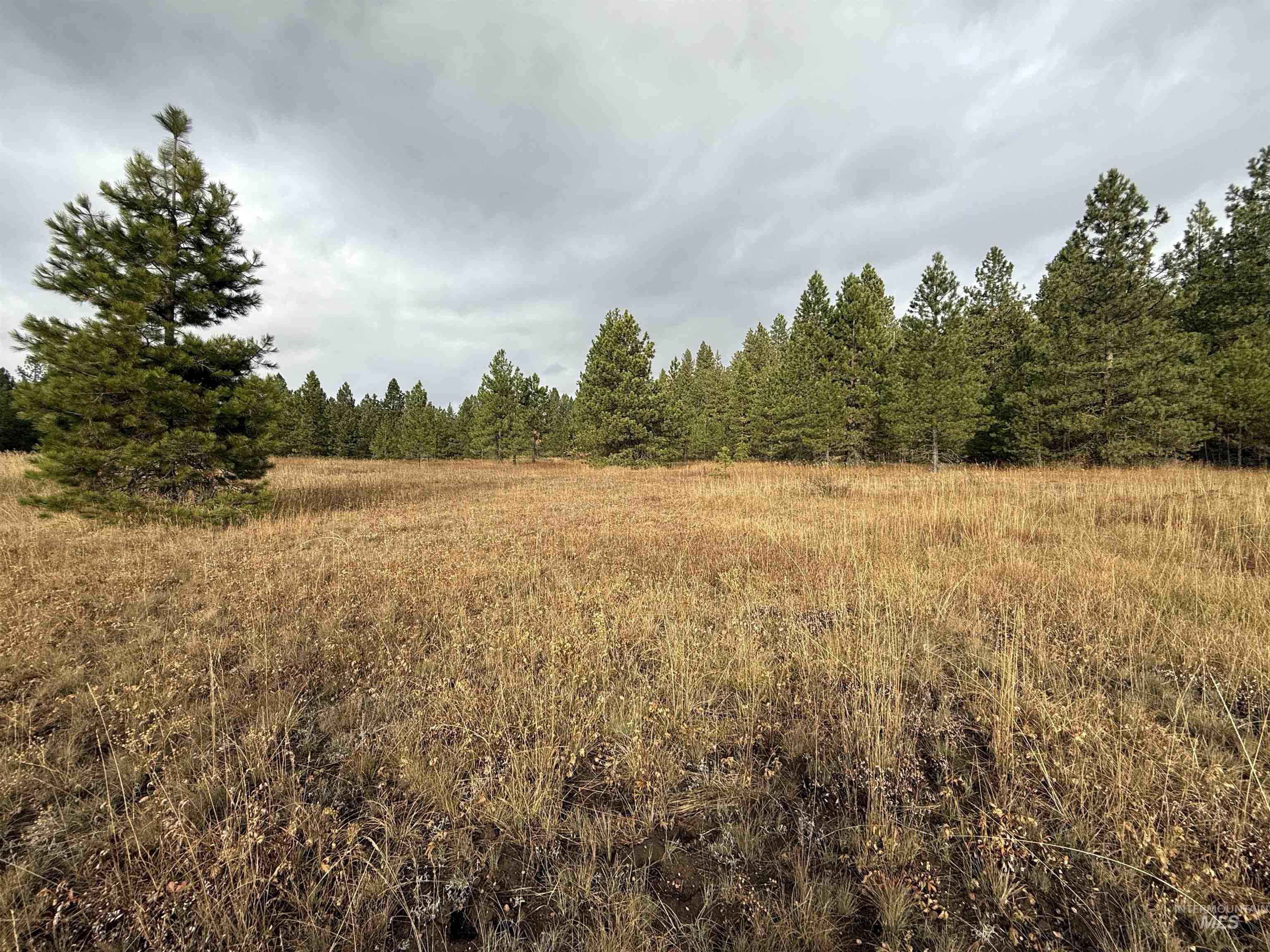 Tbd S Samson Tr Property Photo 7