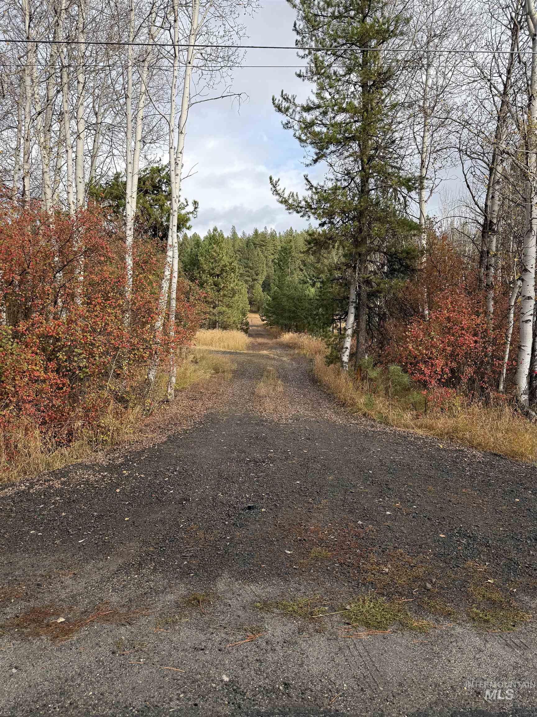 Tbd S Samson Tr Property Photo 8