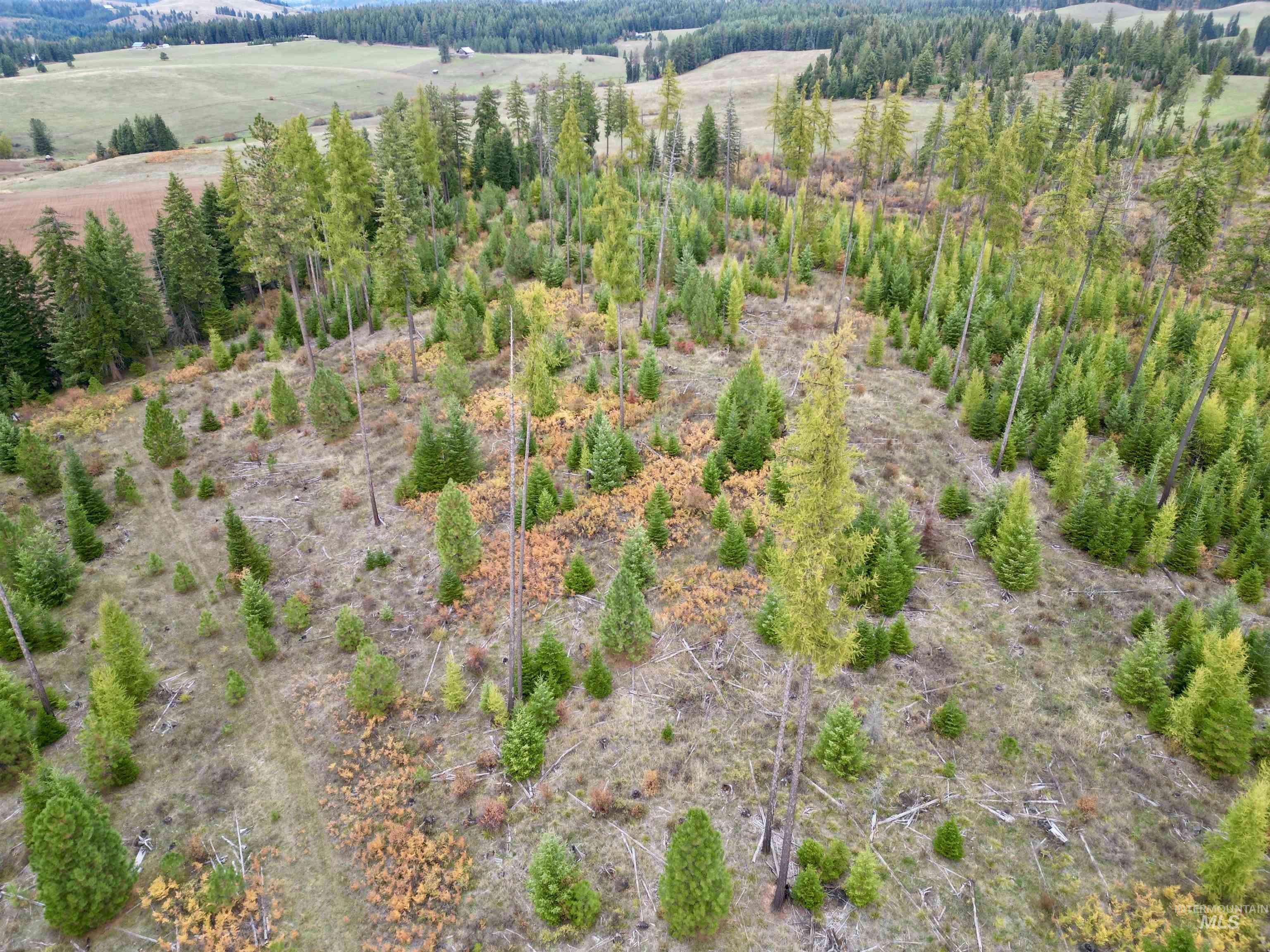 Tbd Parcel 2 Peaceful Valley Rd Property Photo 4