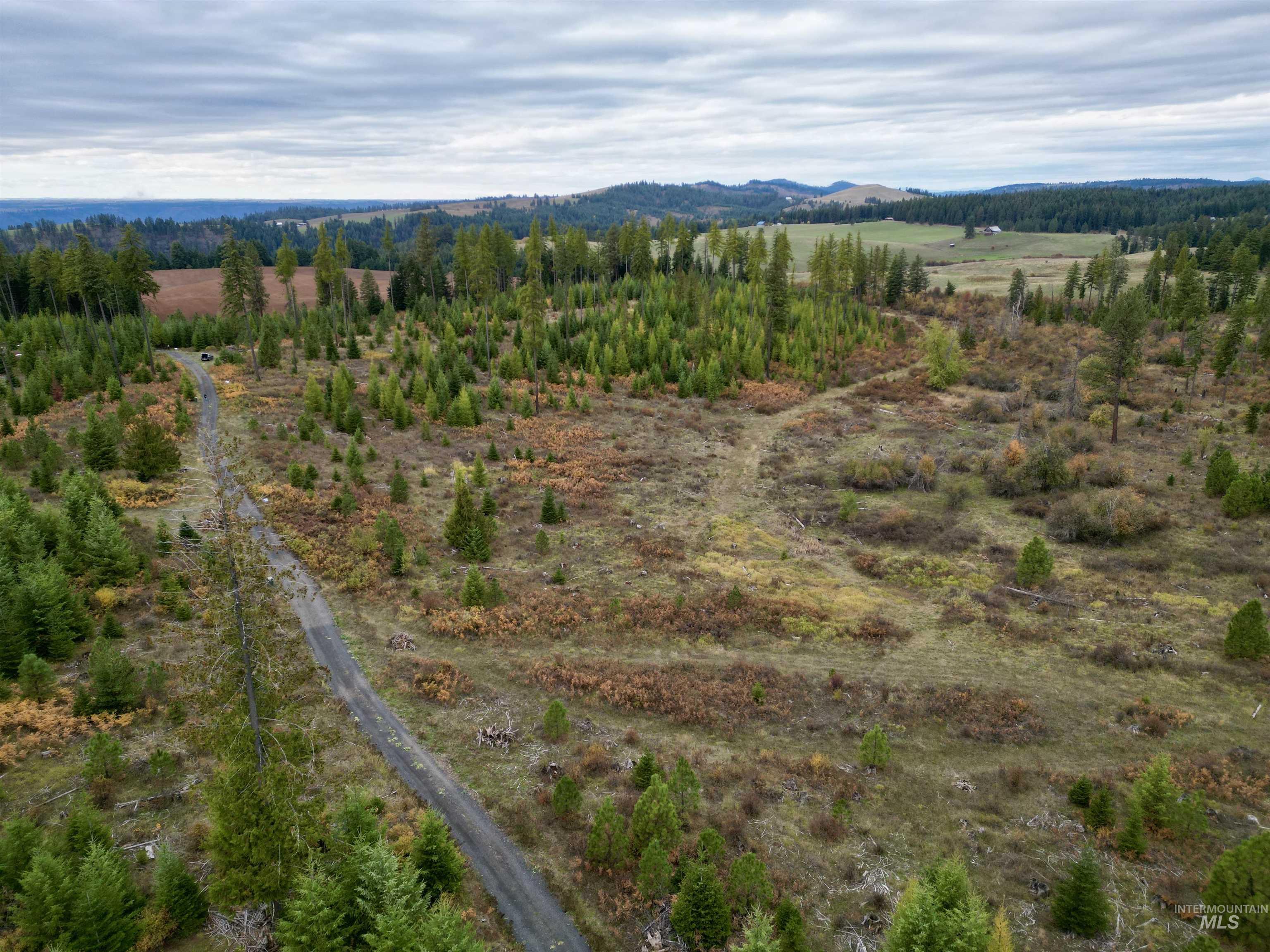 Tbd Parcel 2 Peaceful Valley Rd Property Photo 5