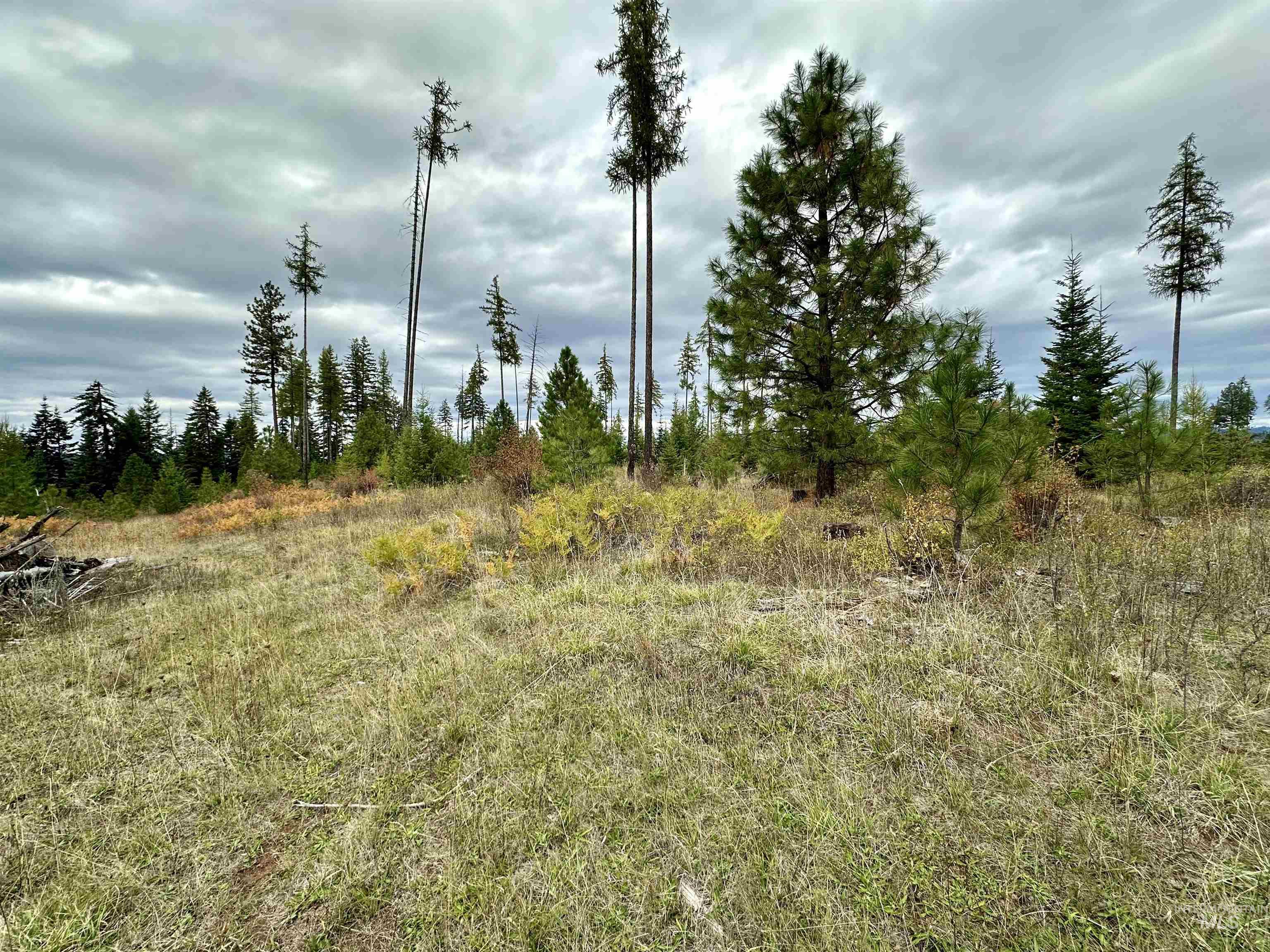 Tbd Parcel 2 Peaceful Valley Rd Property Photo 7