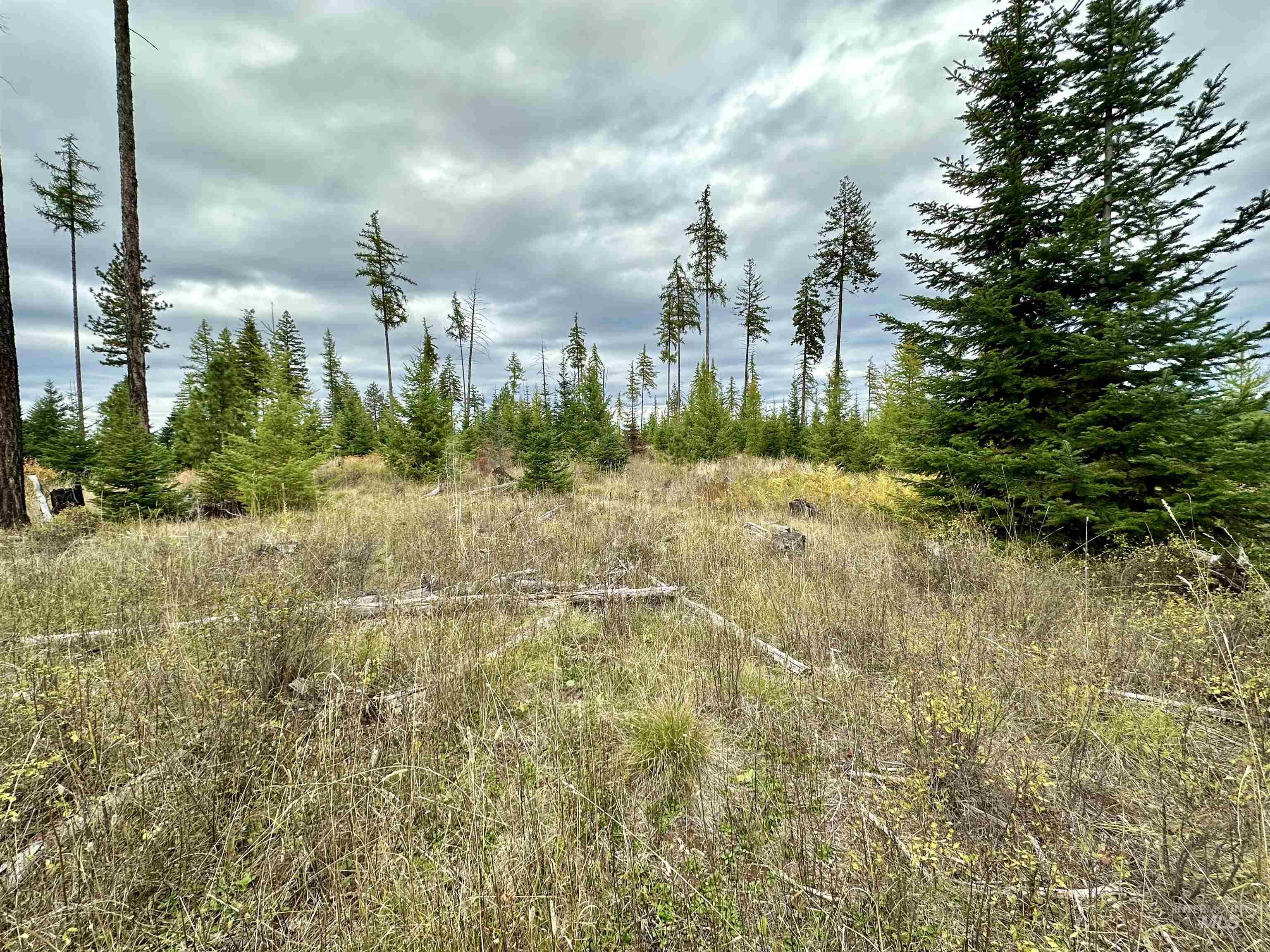 Tbd Parcel 2 Peaceful Valley Rd Property Photo 8