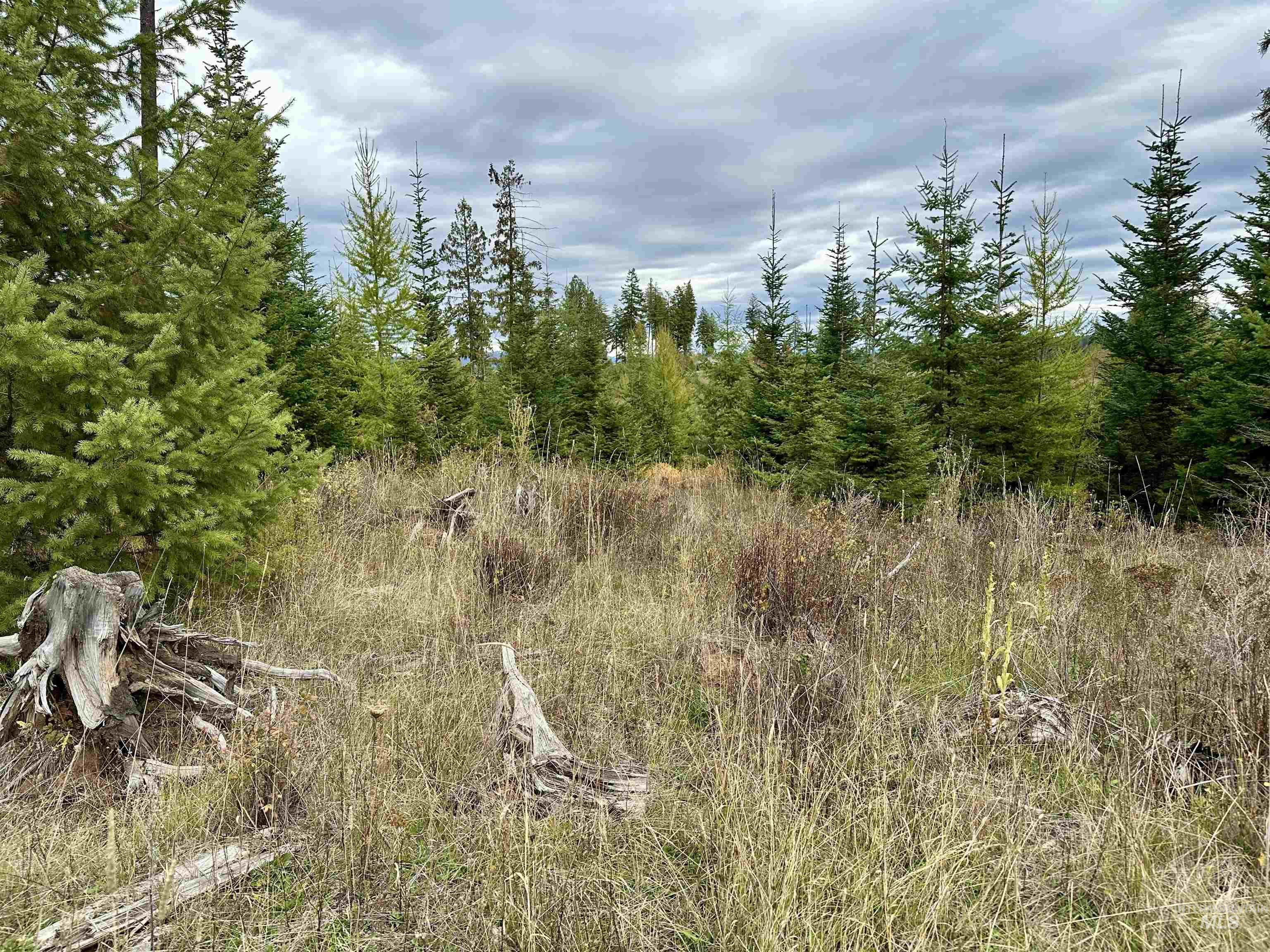 Tbd Parcel 2 Peaceful Valley Rd Property Photo 9