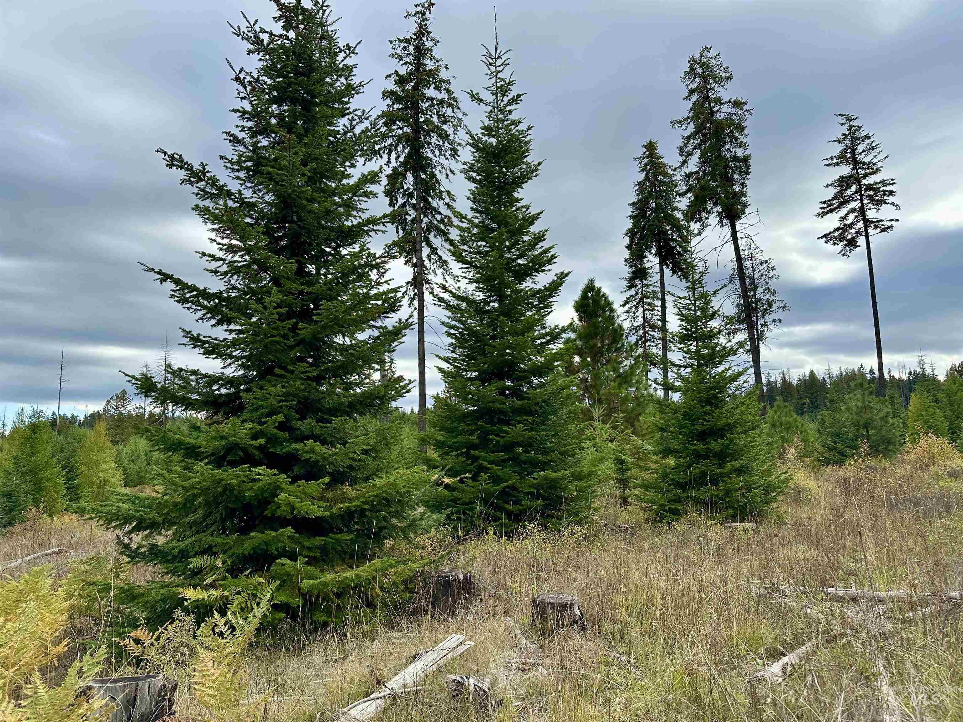 Tbd Parcel 2 Peaceful Valley Rd Property Photo 10