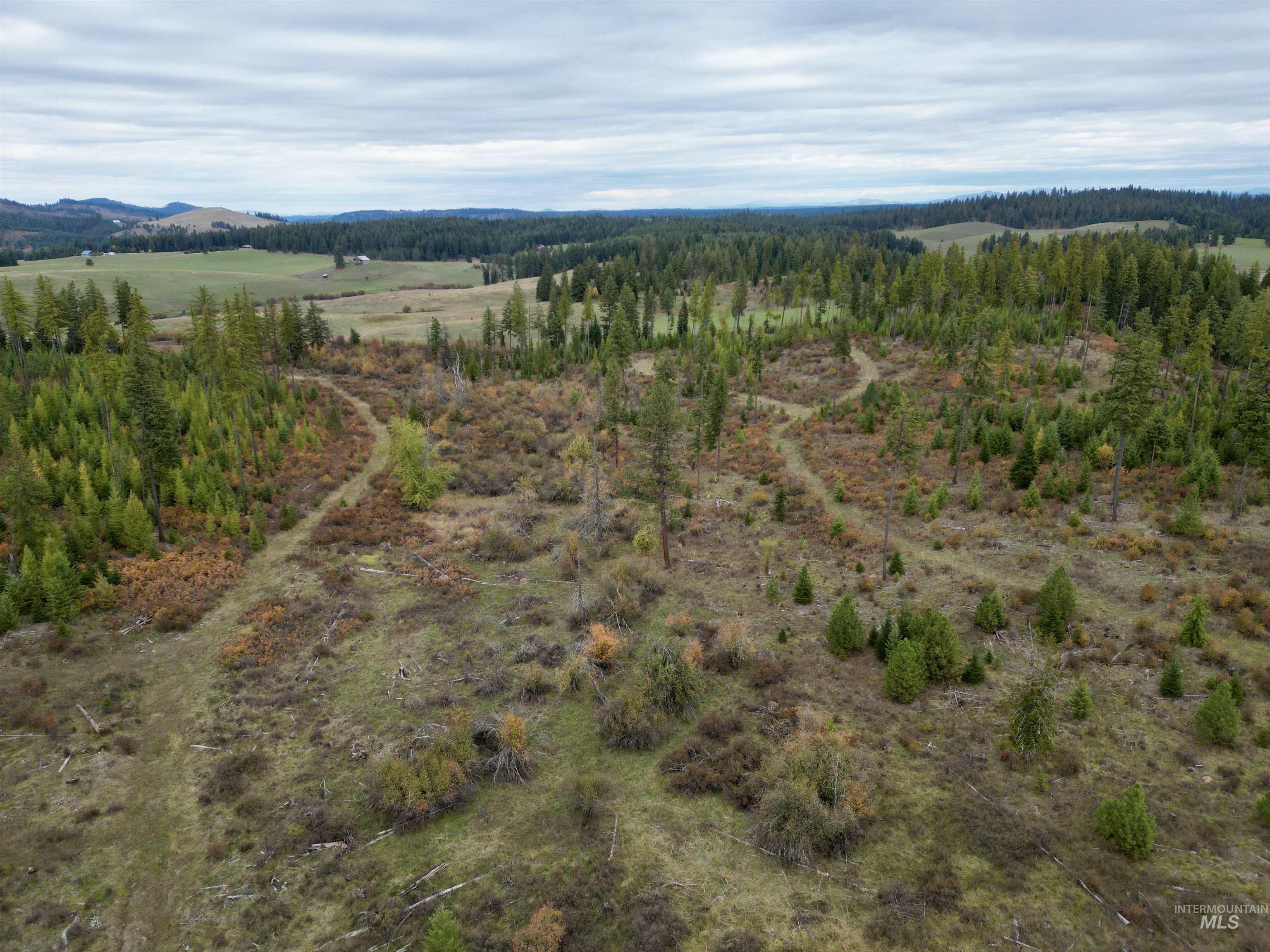 Tbd Parcel 3 Peaceful Valley Rd. Property Photo 1