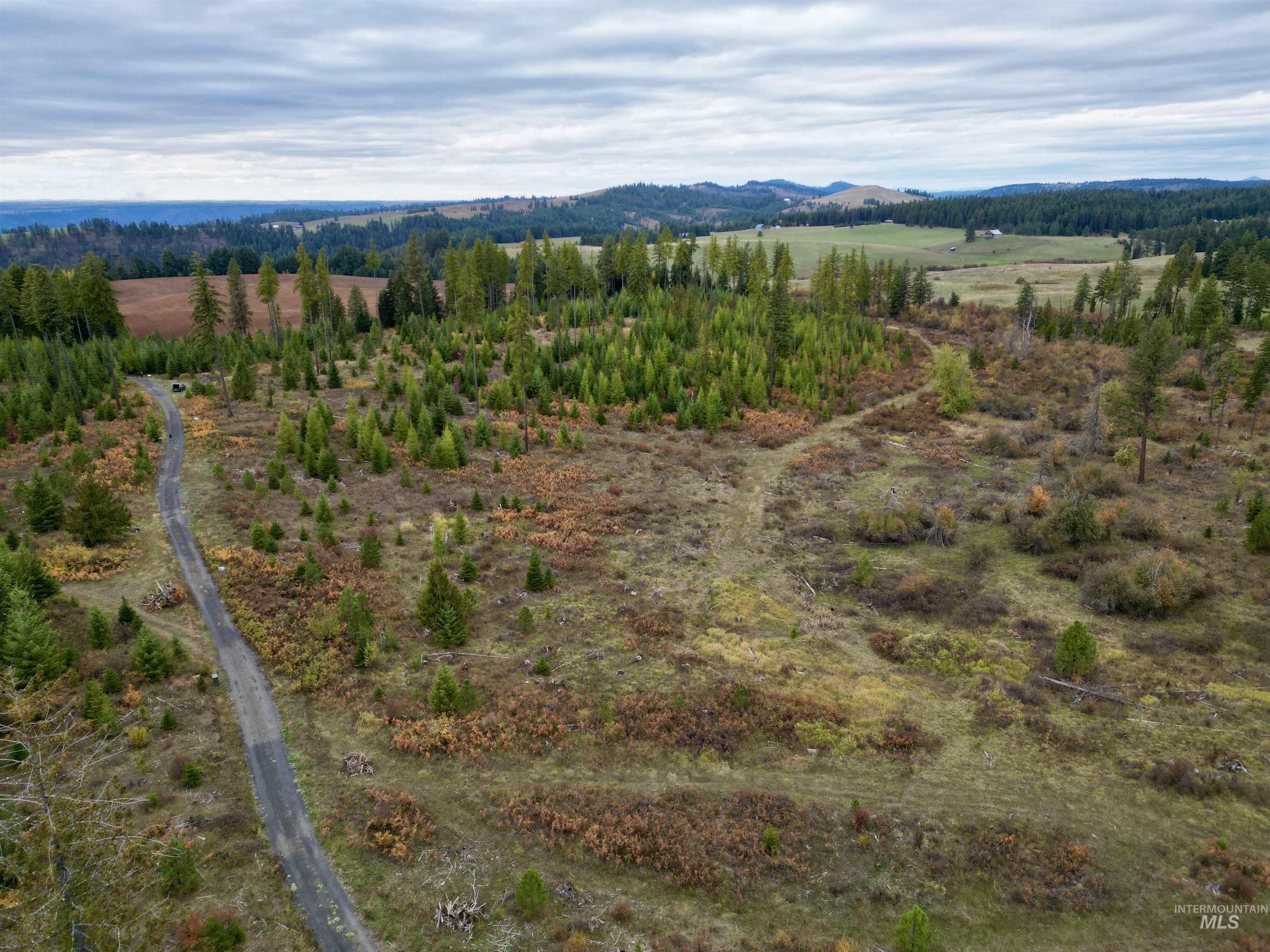 Tbd Parcel 3 Peaceful Valley Rd. Property Photo 2