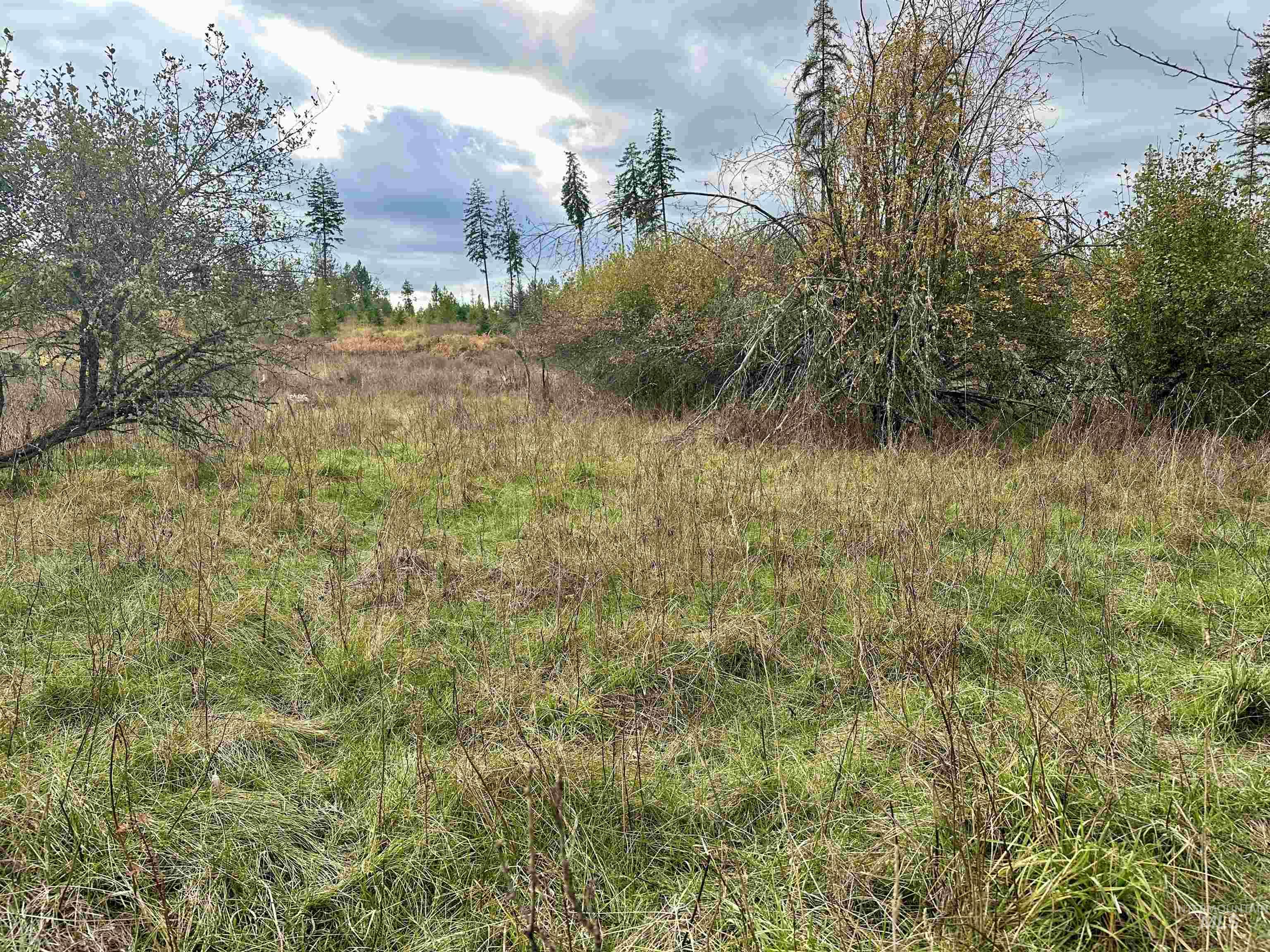 Tbd Parcel 3 Peaceful Valley Rd. Property Photo 4