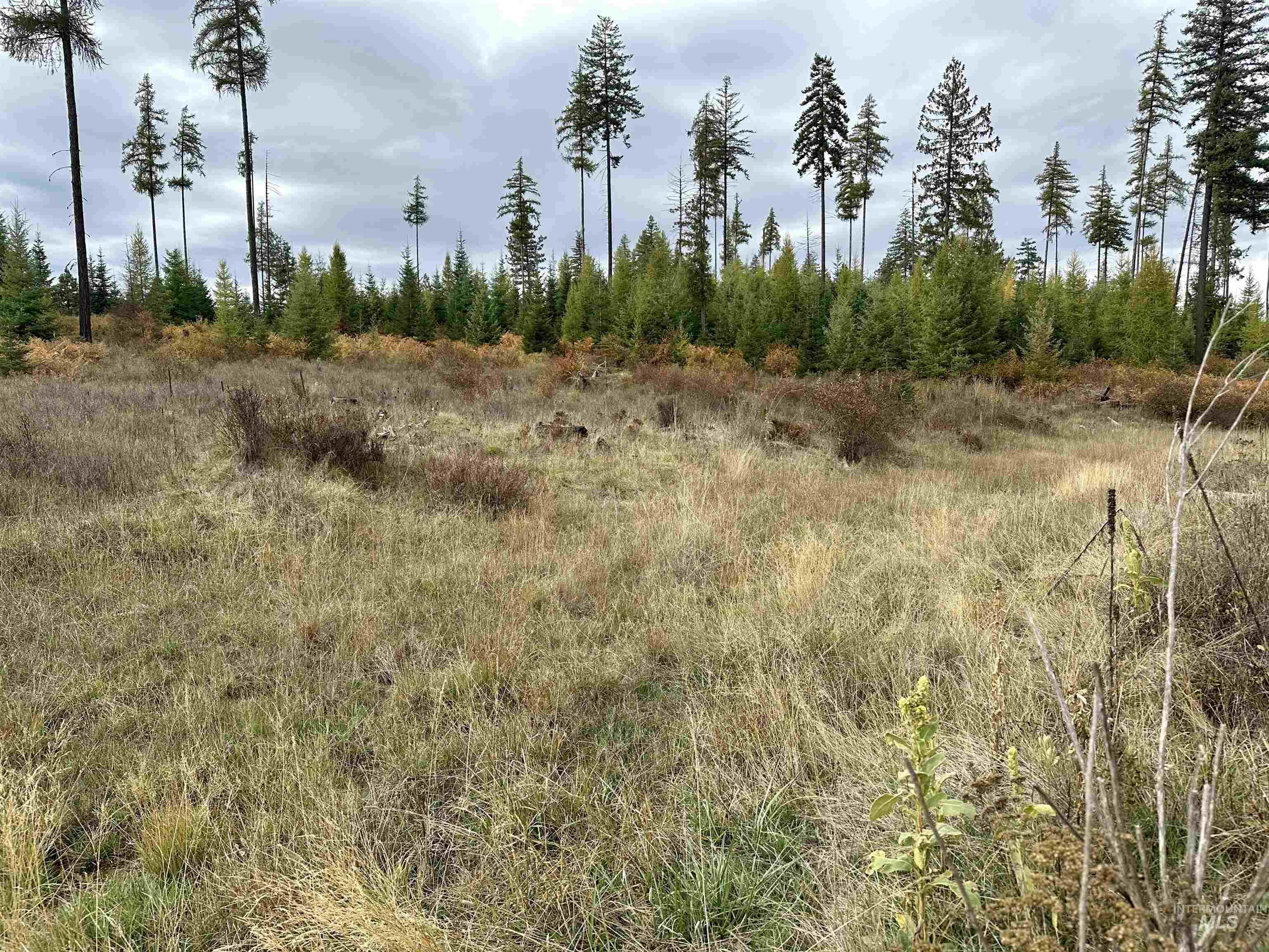 Tbd Parcel 3 Peaceful Valley Rd. Property Photo 8