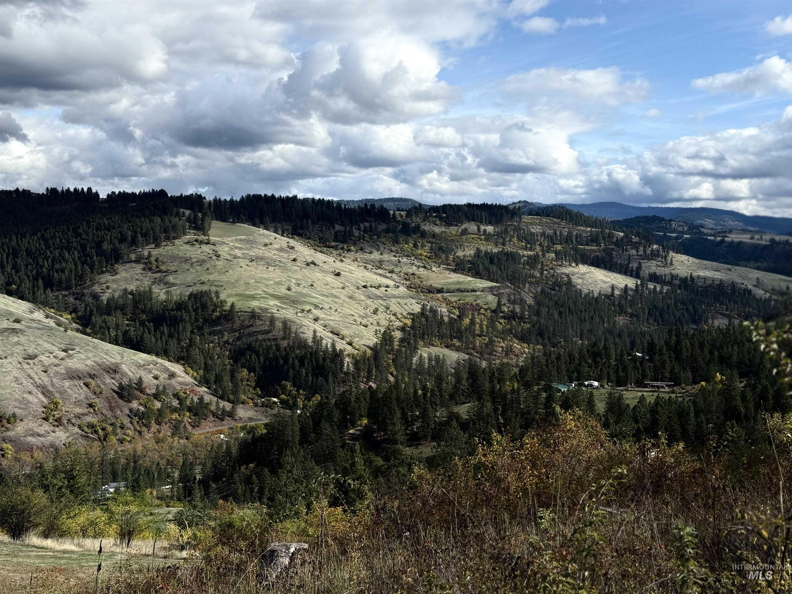 289 Freedom Way Property Photo 2