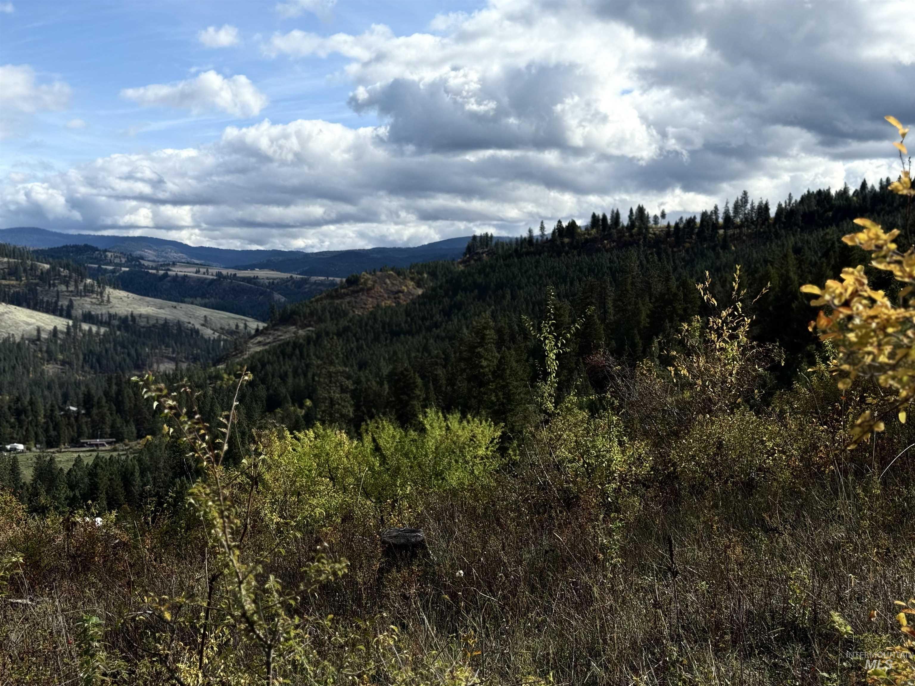 289 Freedom Way Property Photo 3