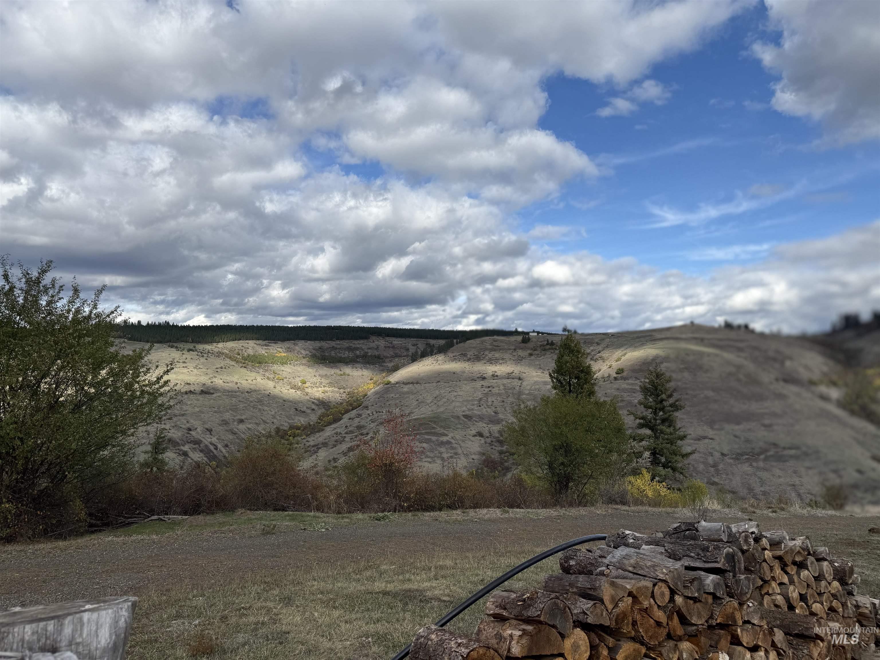 289 Freedom Way Property Photo 4