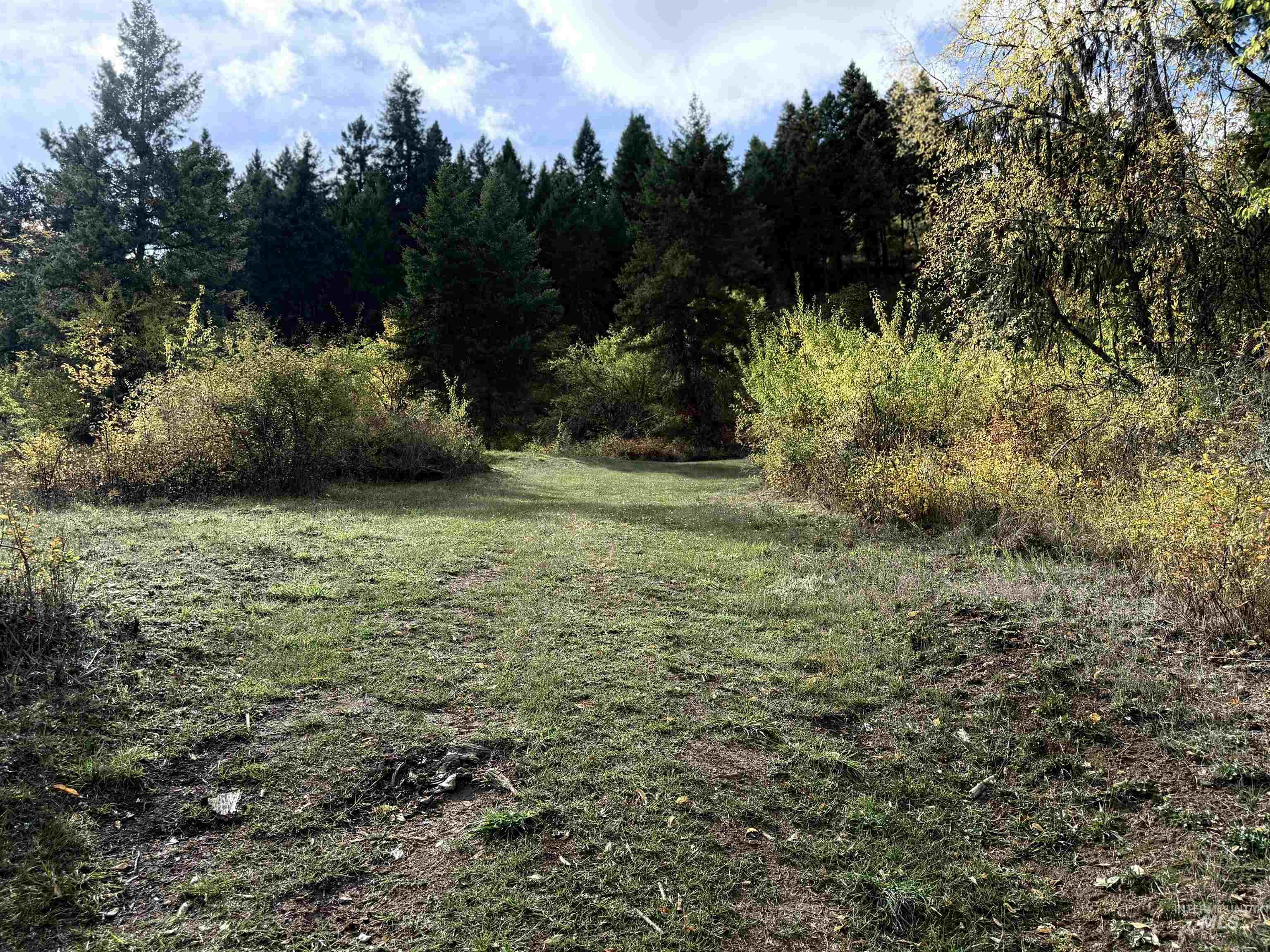 289 Freedom Way Property Photo 5