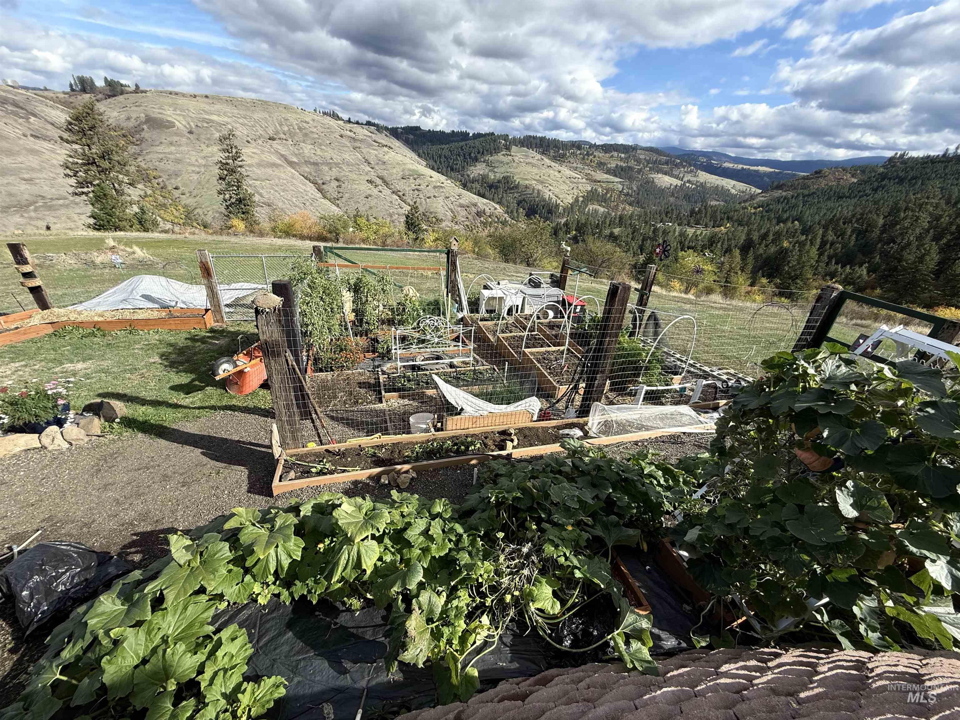 289 Freedom Way Property Photo 30