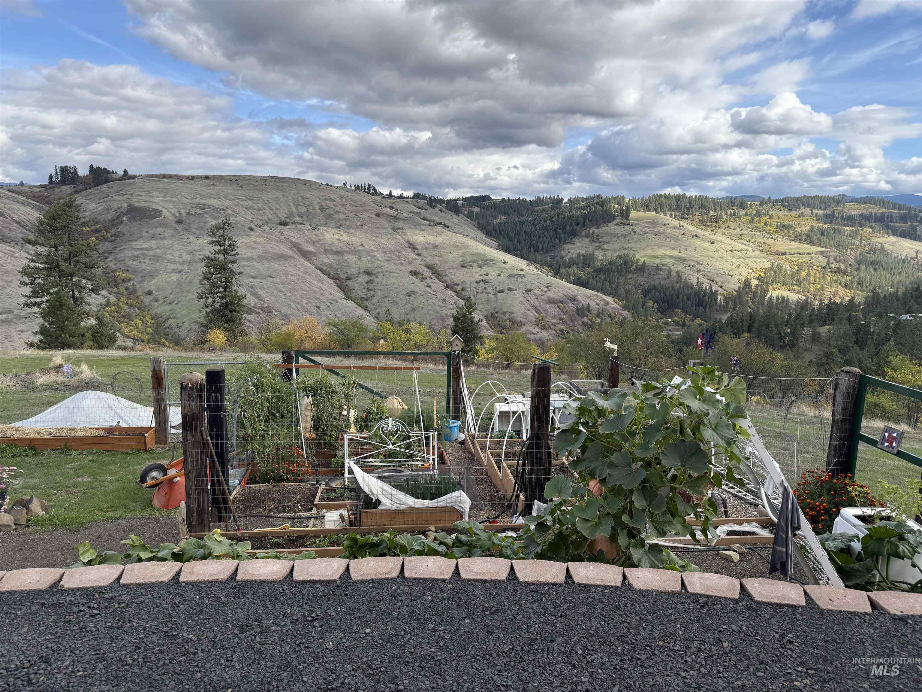 289 Freedom Way Property Photo 31