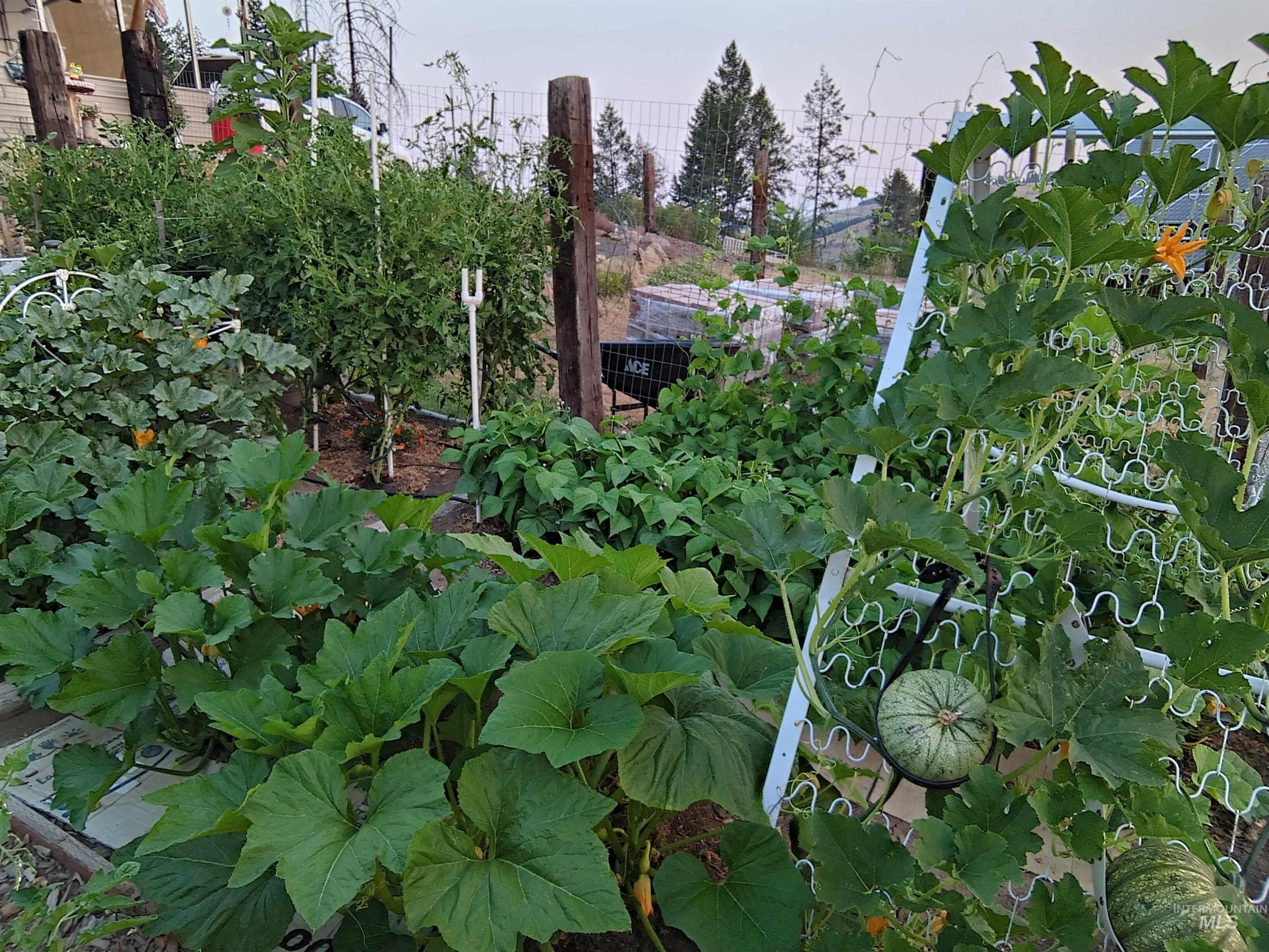 289 Freedom Way Property Photo 33