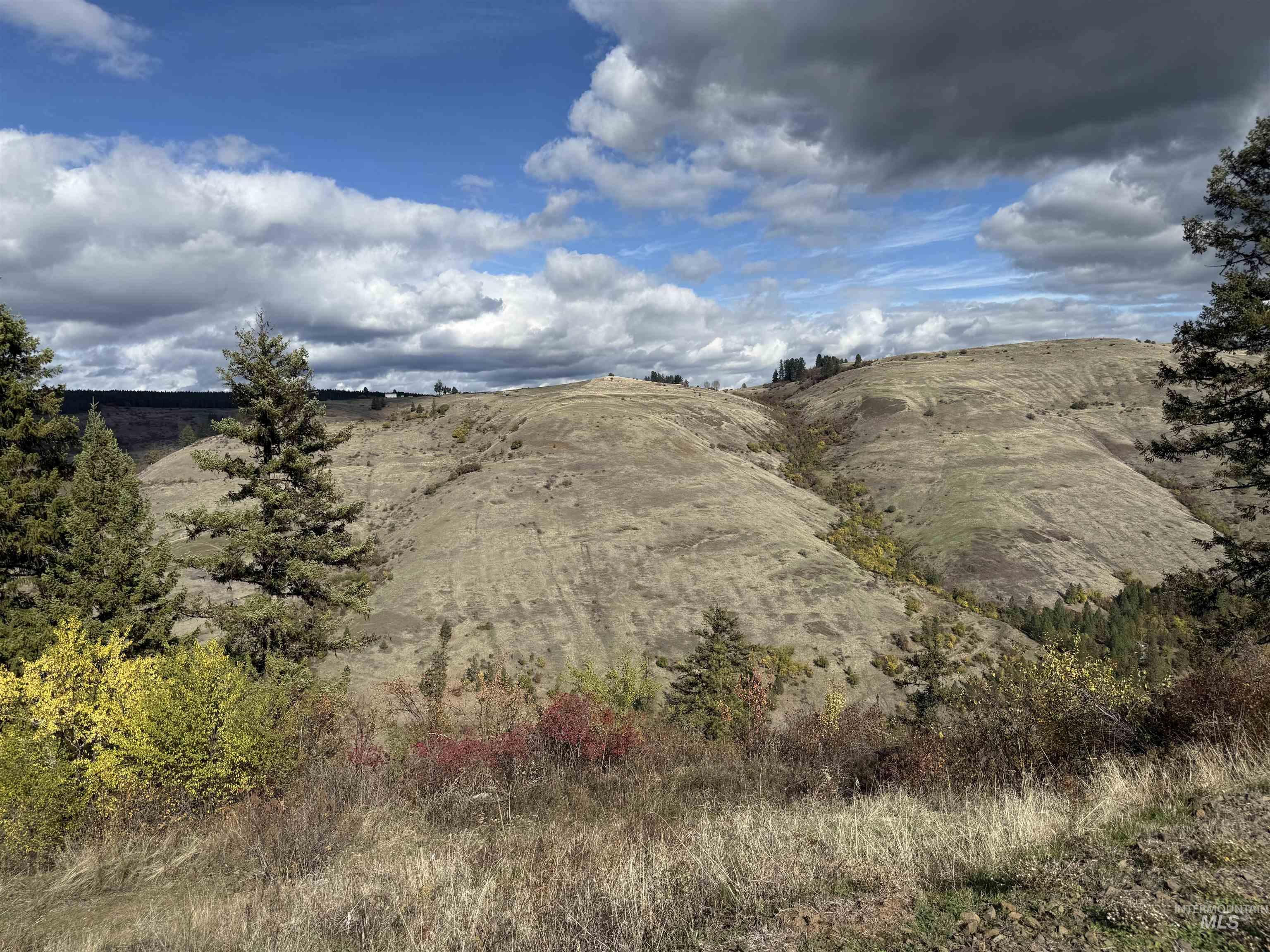 289 Freedom Way Property Photo 34