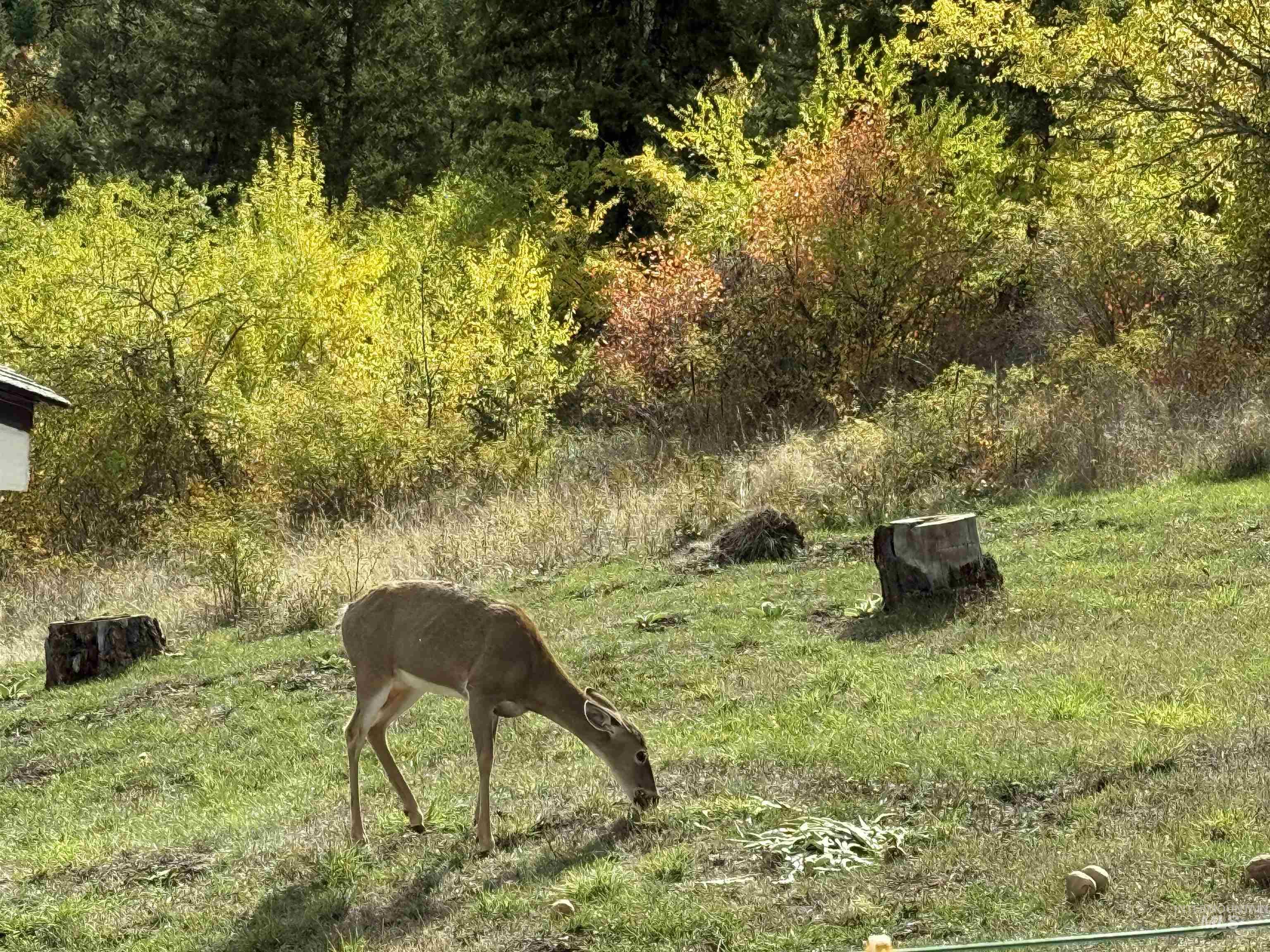 289 Freedom Way Property Photo 35