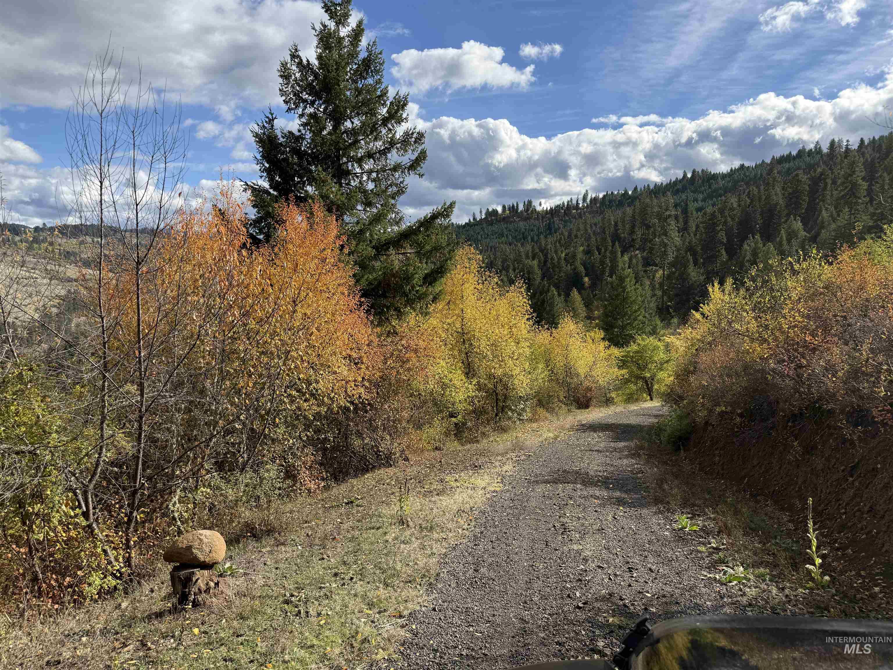 289 Freedom Way Property Photo 36