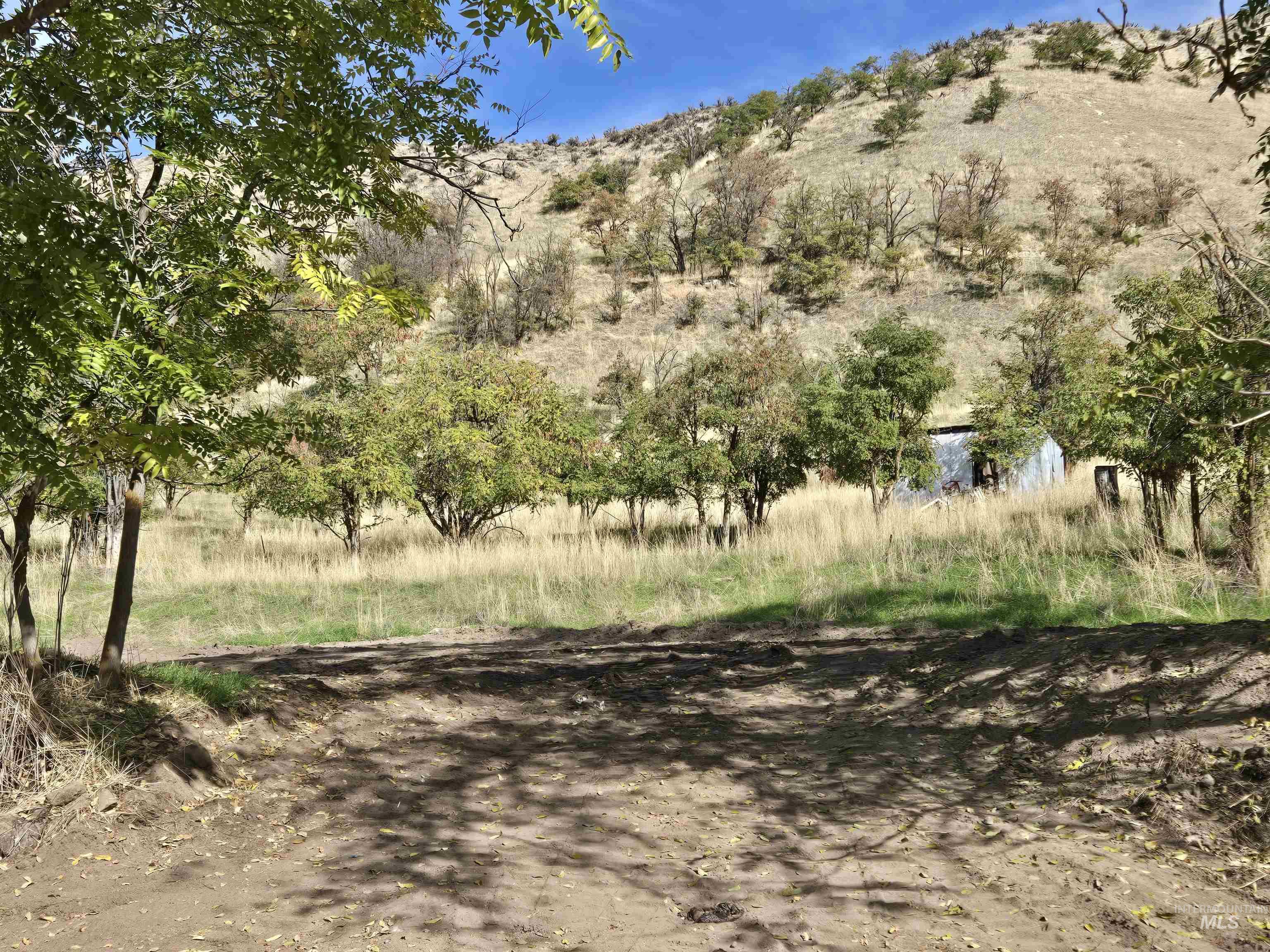 5432 W Hill Road Property Photo 4