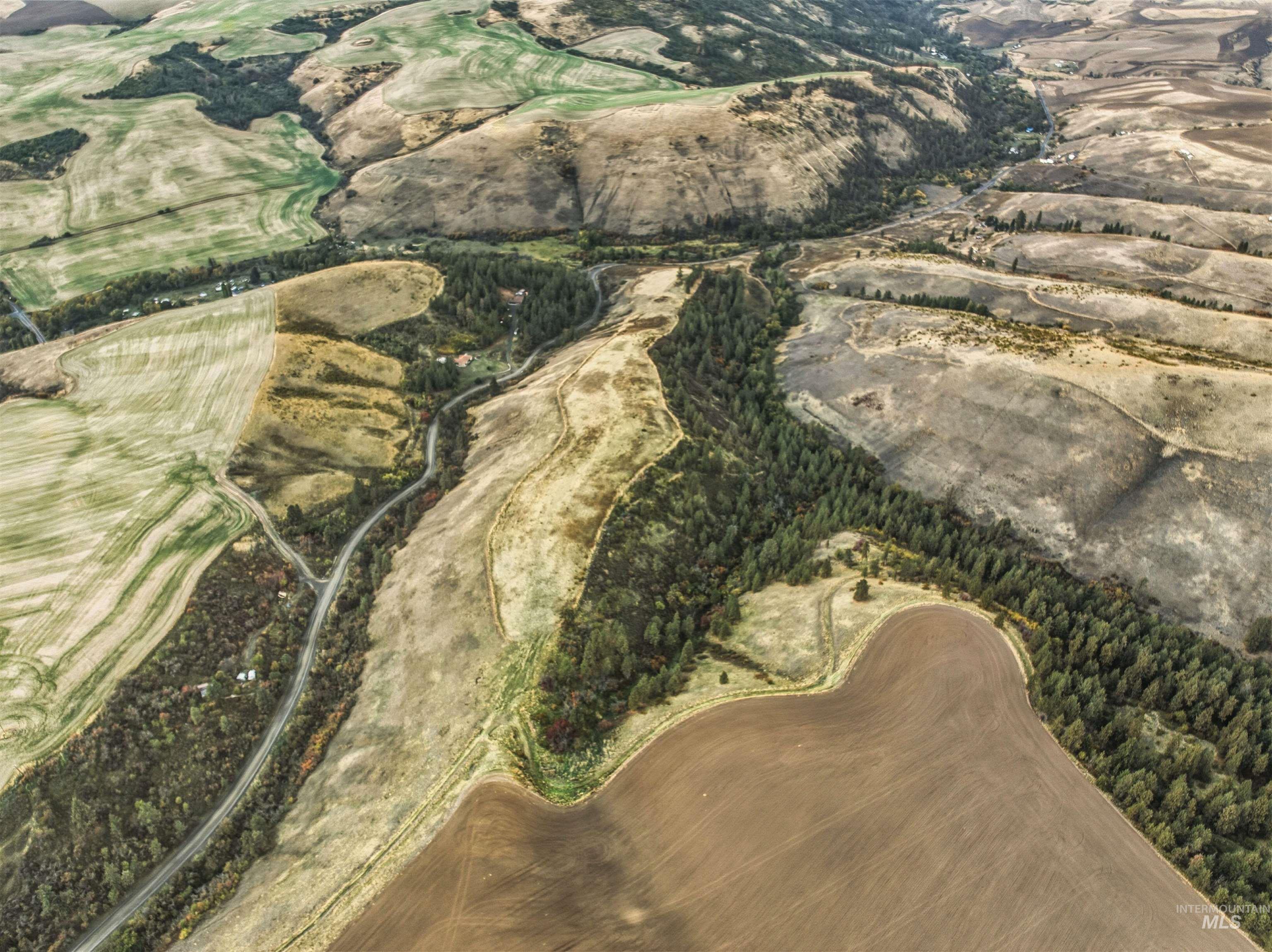 Tbd Kettenbach Grade Property Photo 3