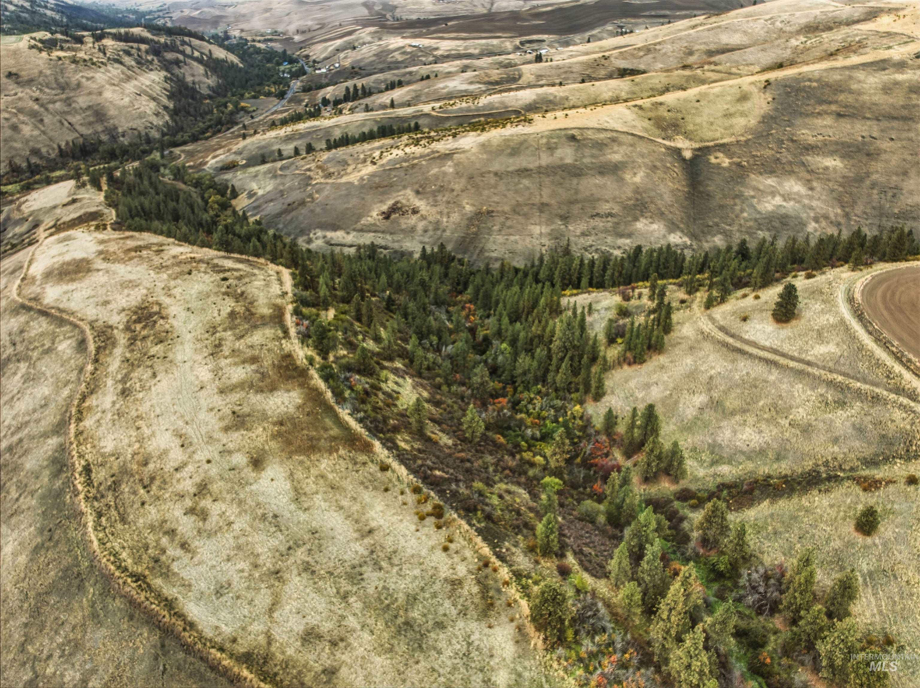Tbd Kettenbach Grade Property Photo 15