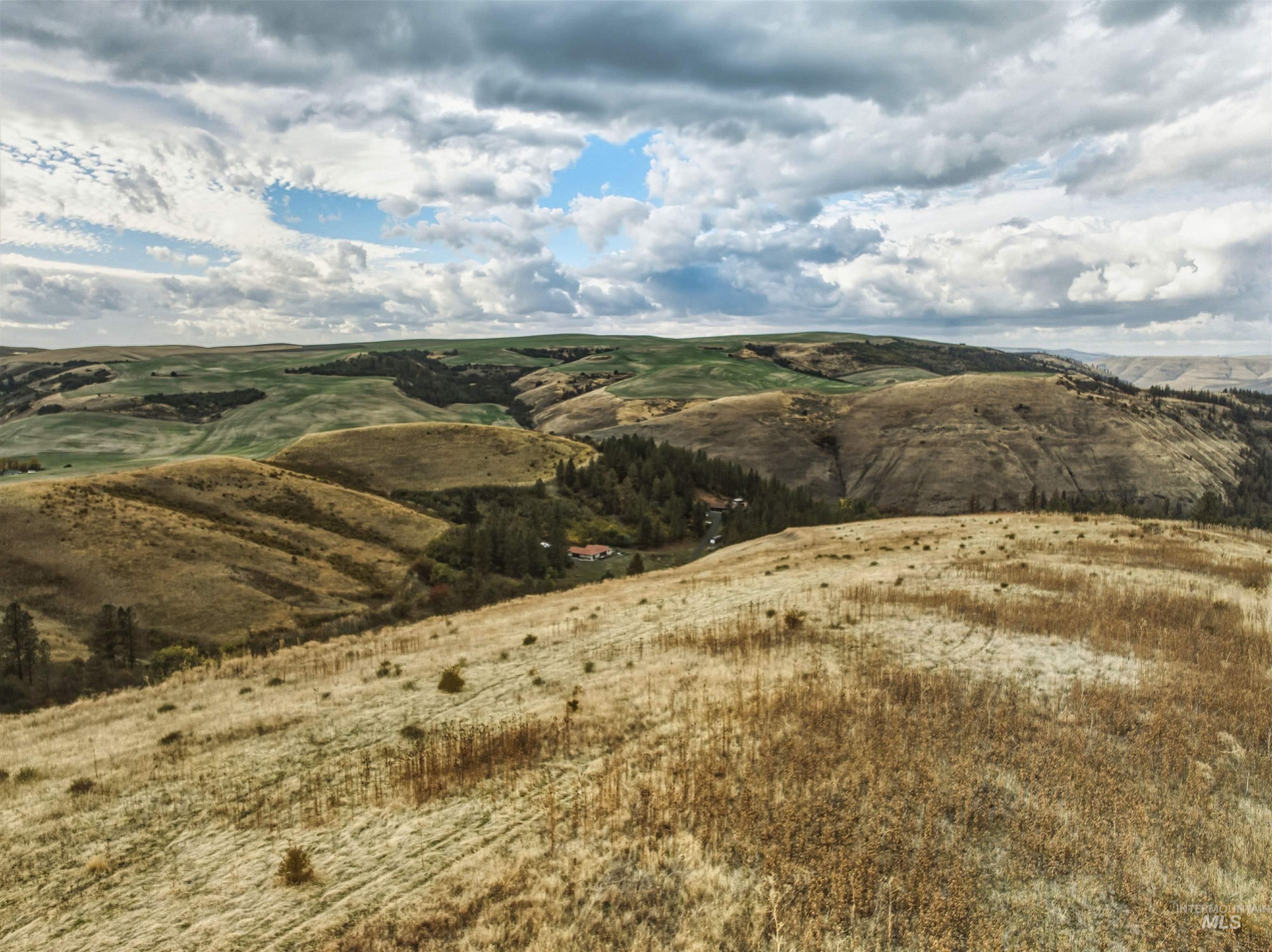 Tbd Kettenbach Grade Property Photo 18