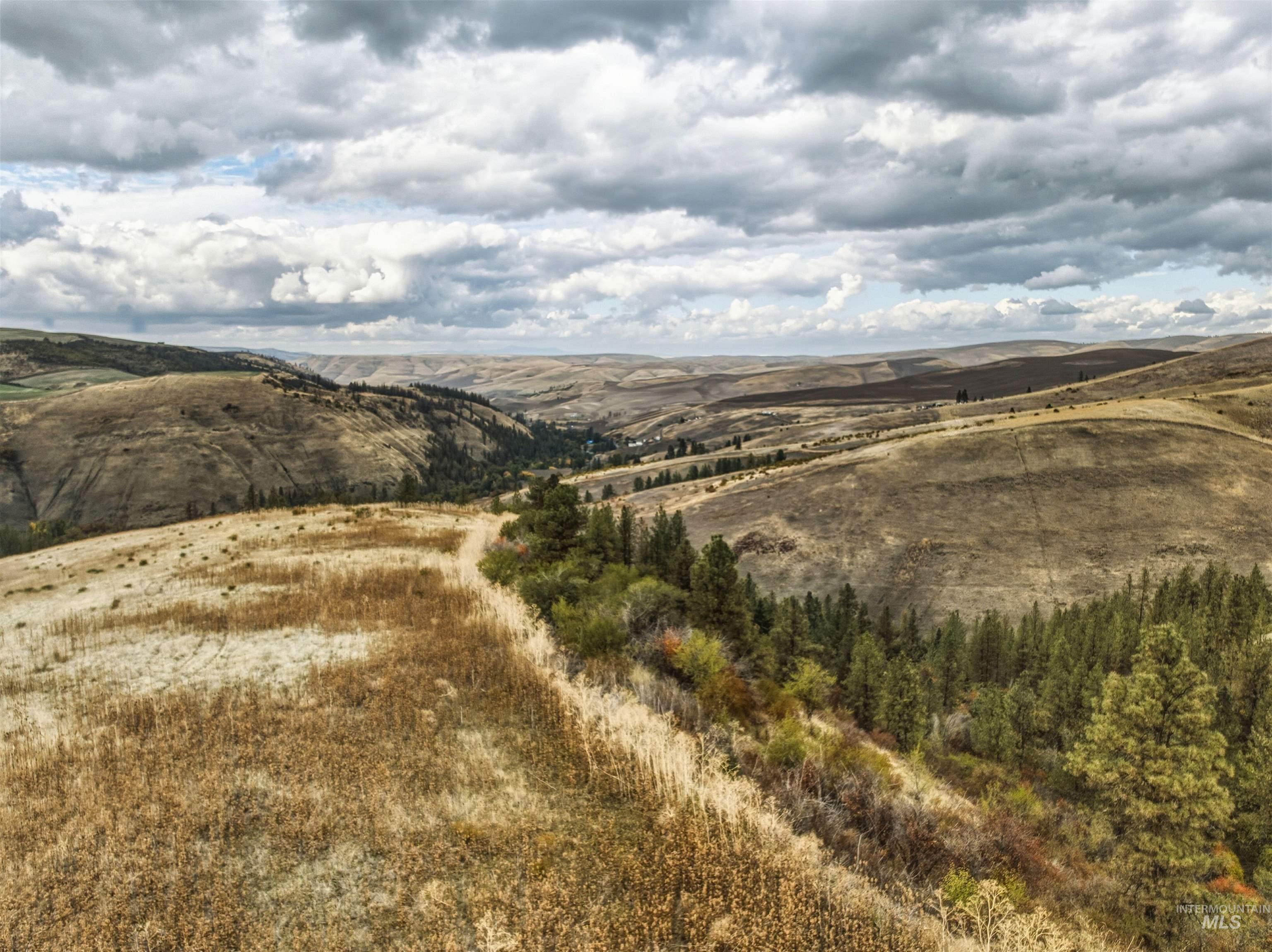 Tbd Kettenbach Grade Property Photo 19