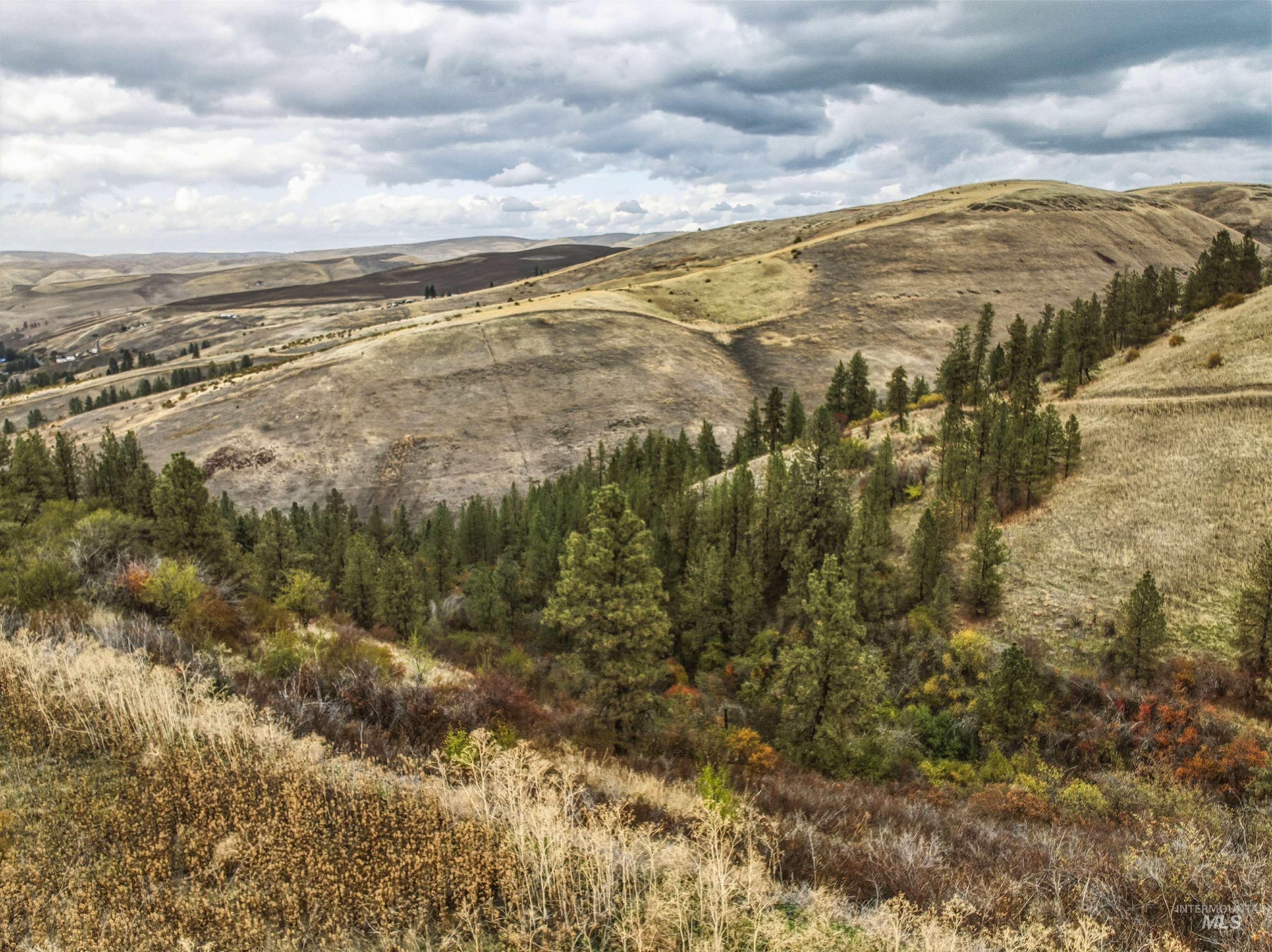 Tbd Kettenbach Grade Property Photo 20