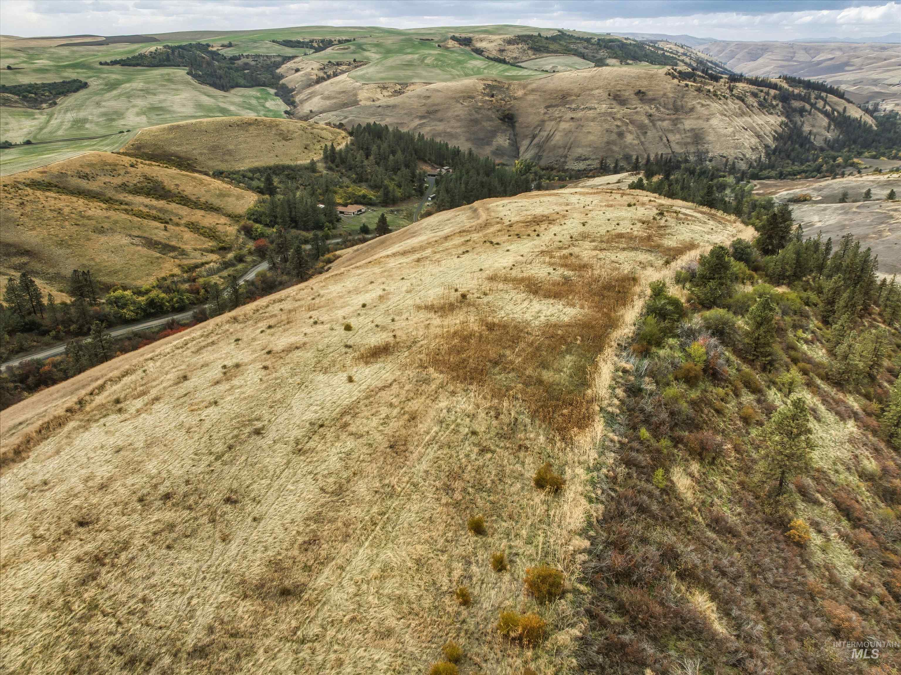 Tbd Kettenbach Grade Property Photo 23