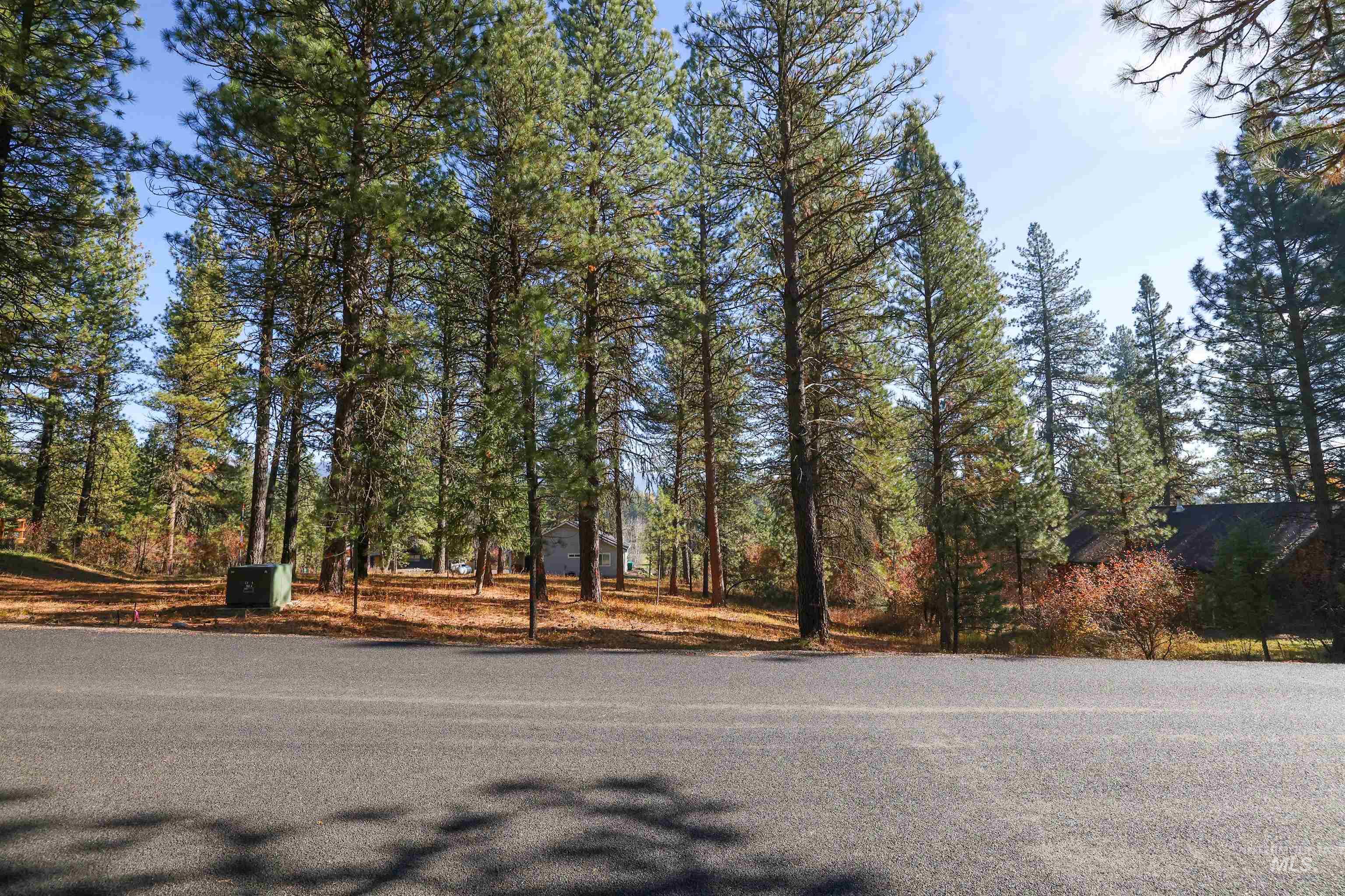 Tbd Columbine Drive Property Photo 3