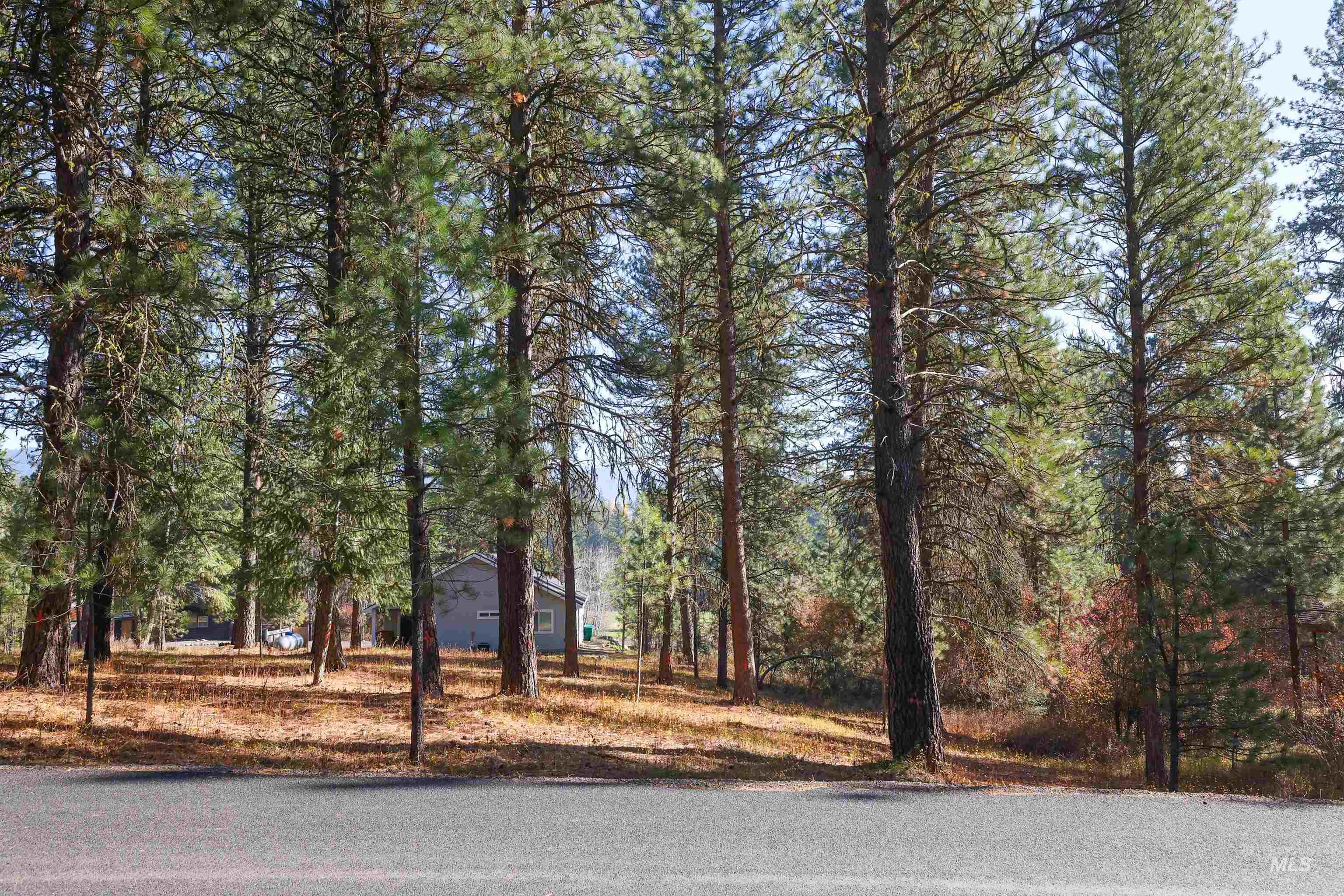 Tbd Columbine Drive Property Photo 4