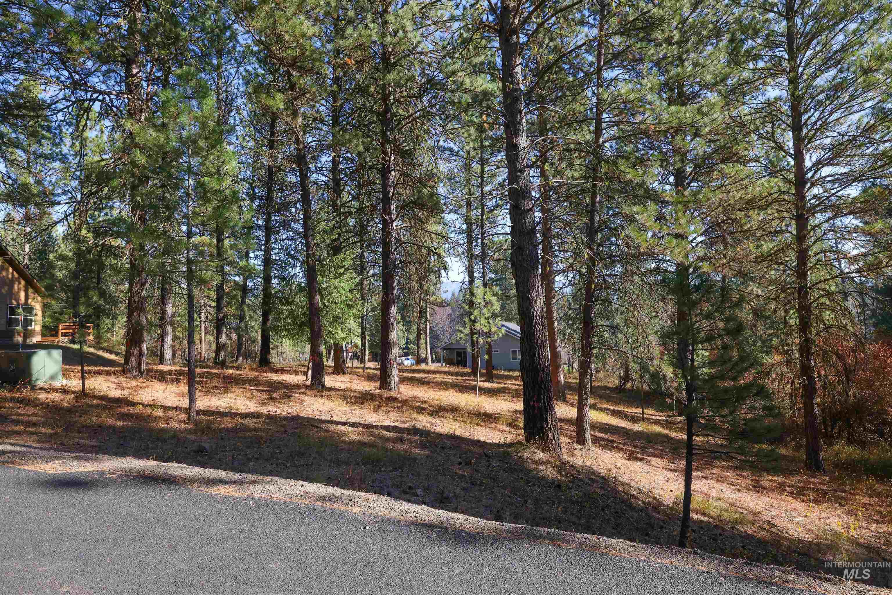 Tbd Columbine Drive Property Photo 5