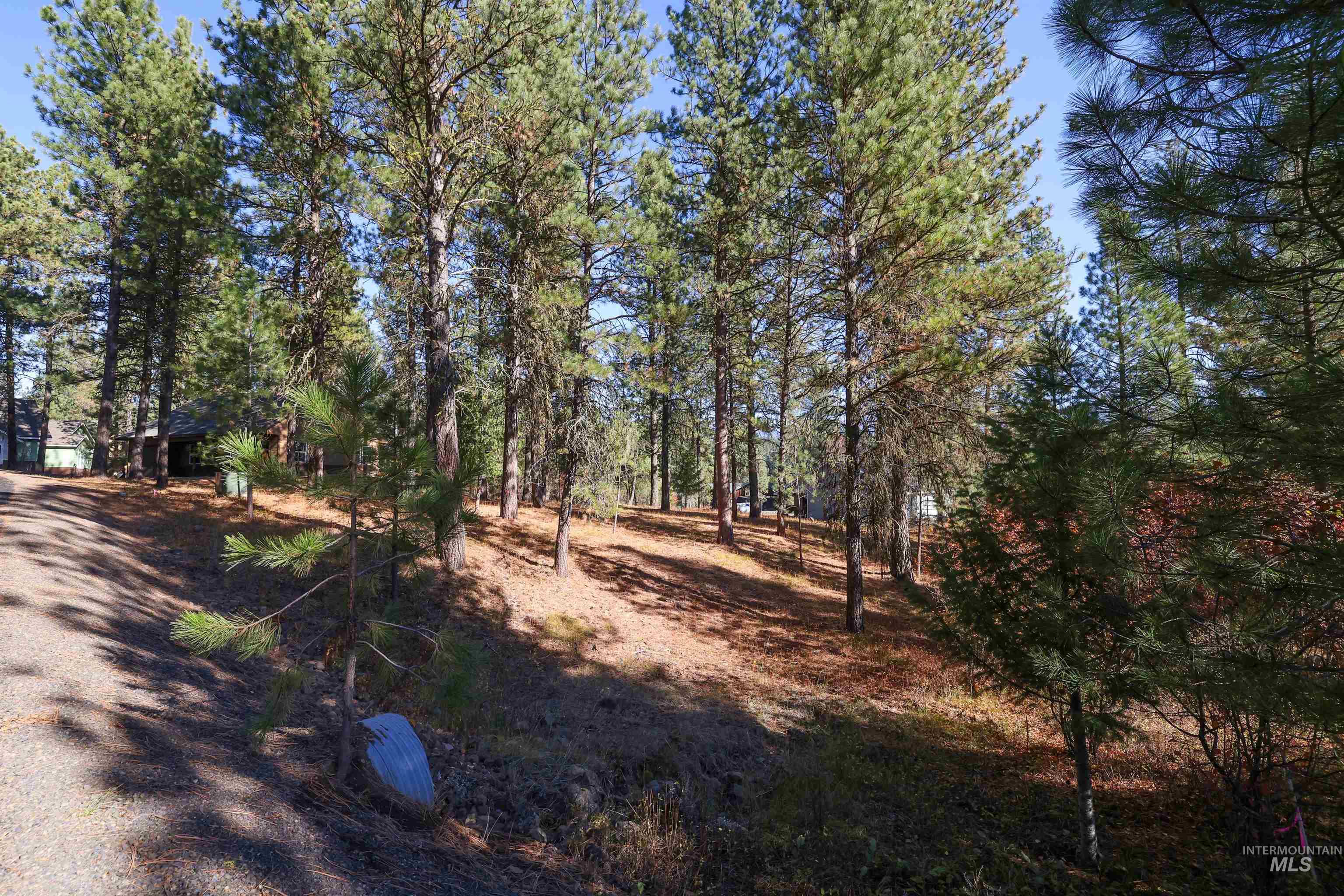 Tbd Columbine Drive Property Photo 6