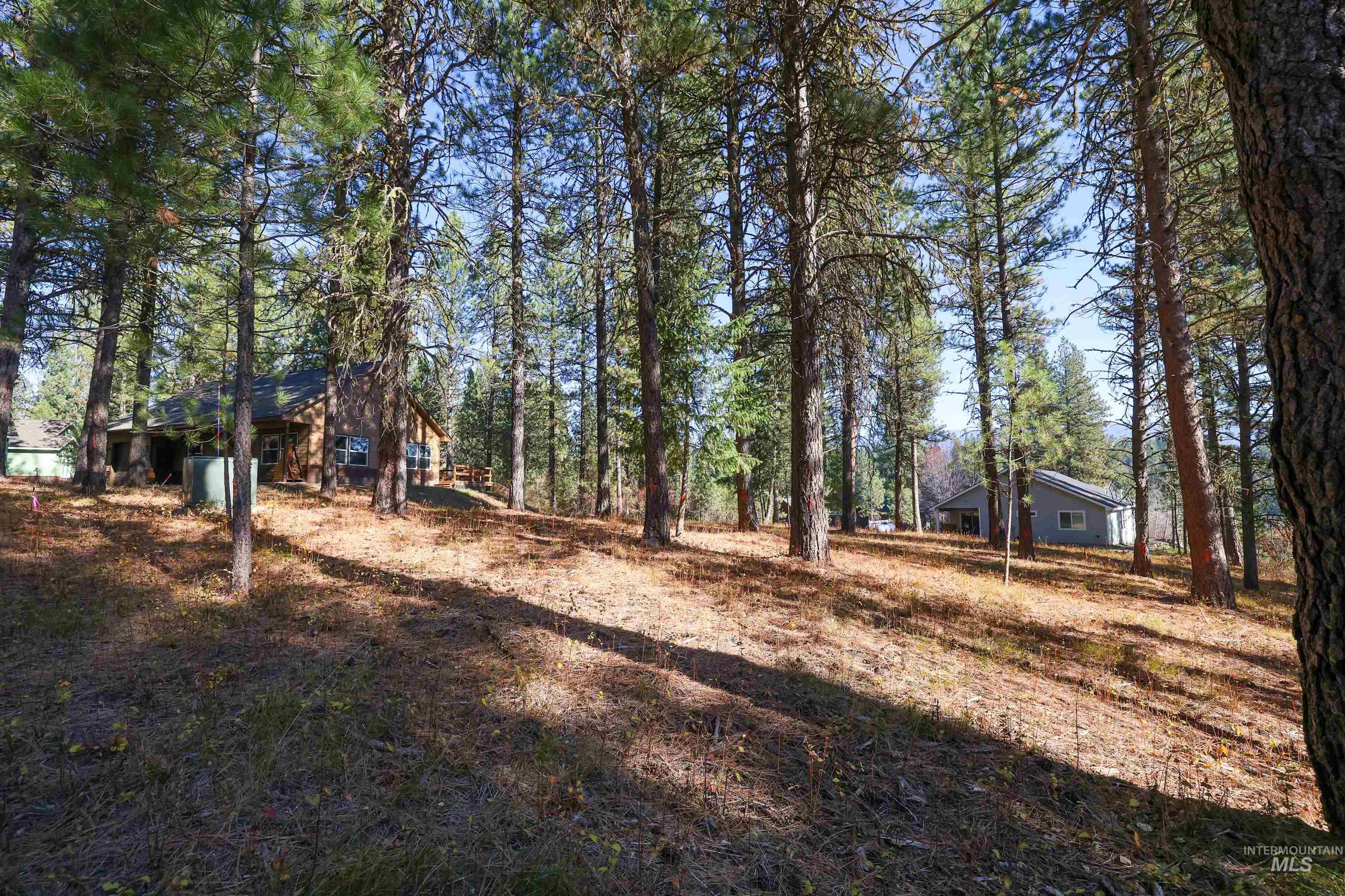 Tbd Columbine Drive Property Photo 7