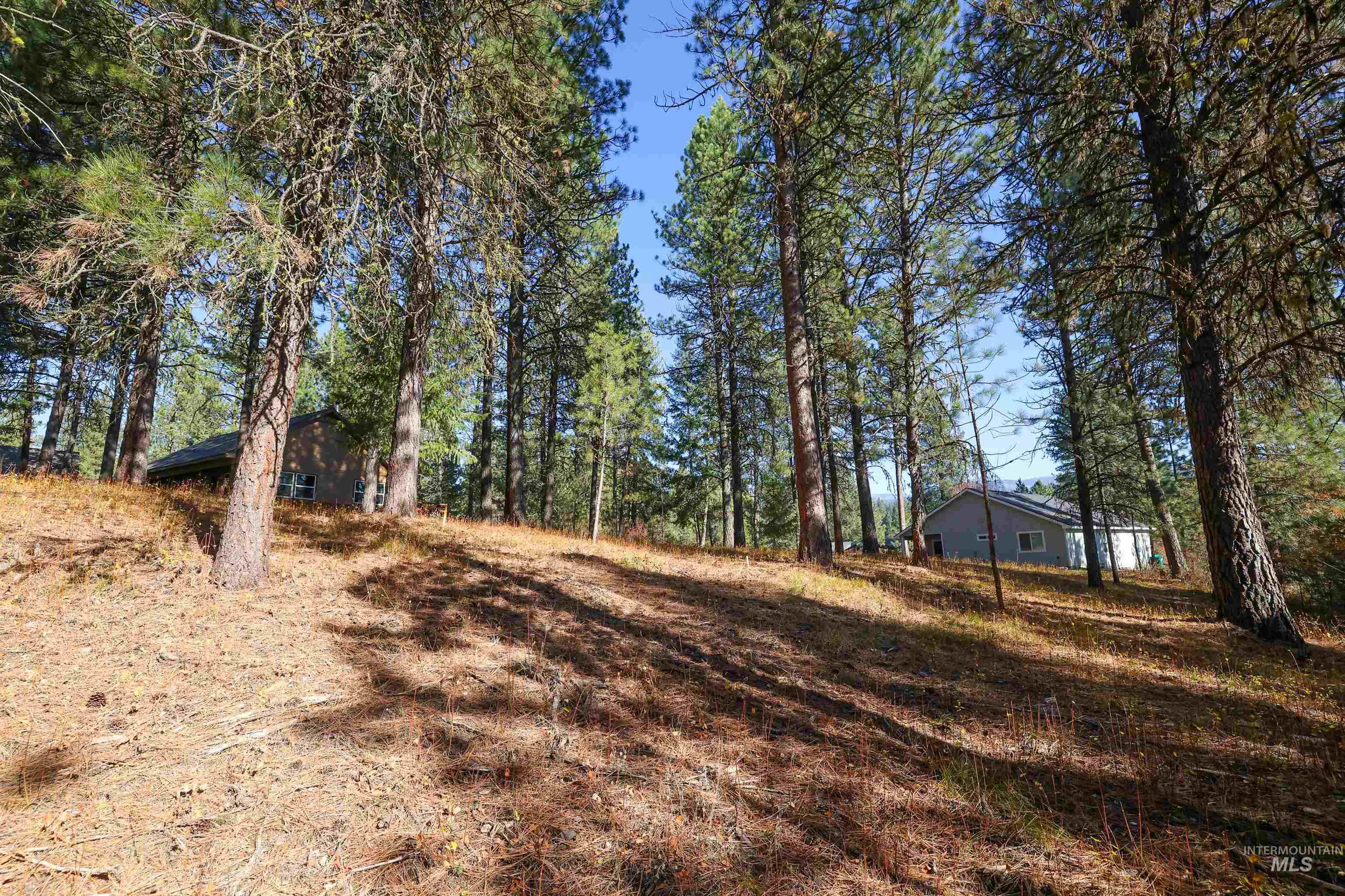 Tbd Columbine Drive Property Photo 8