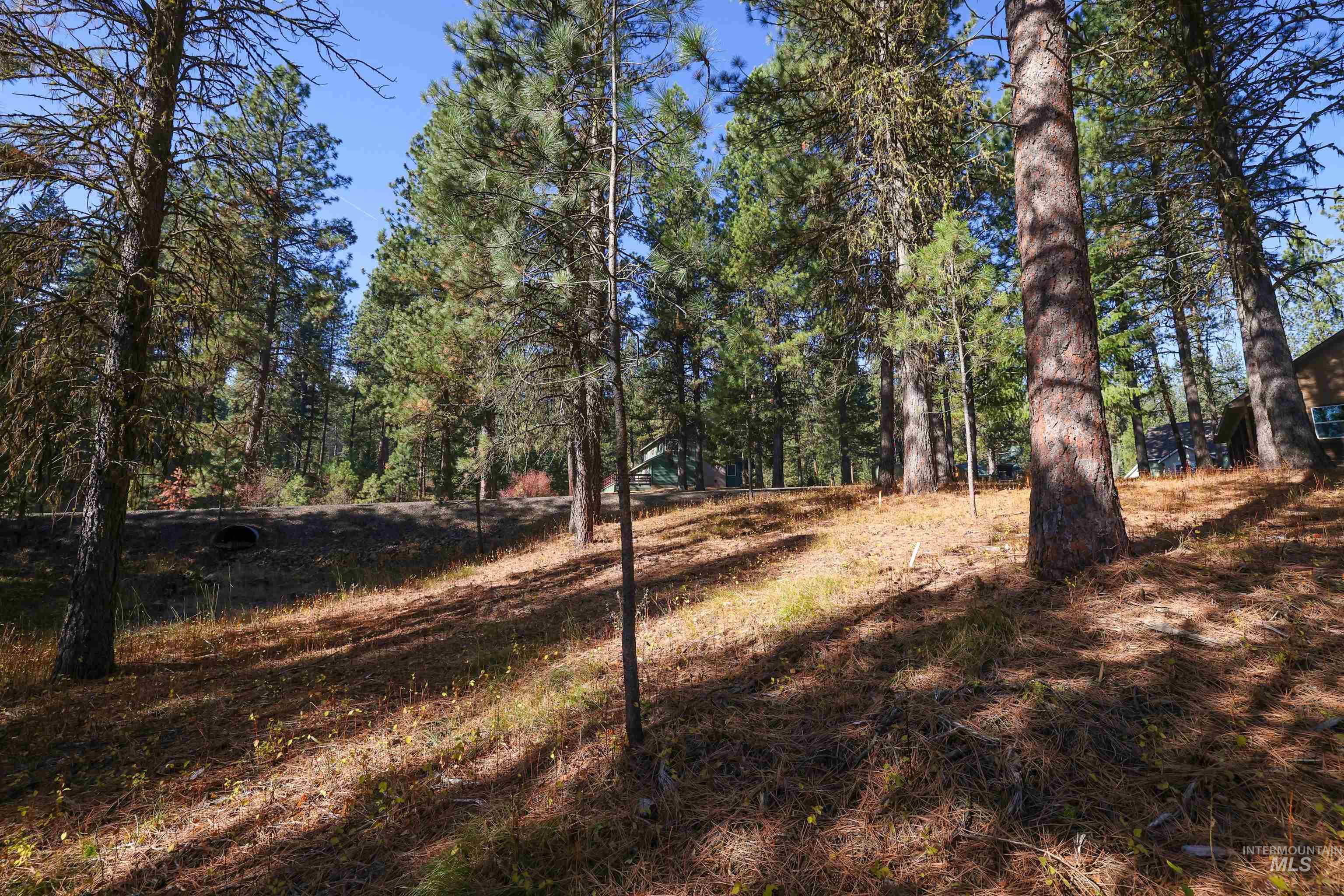 Tbd Columbine Drive Property Photo 9
