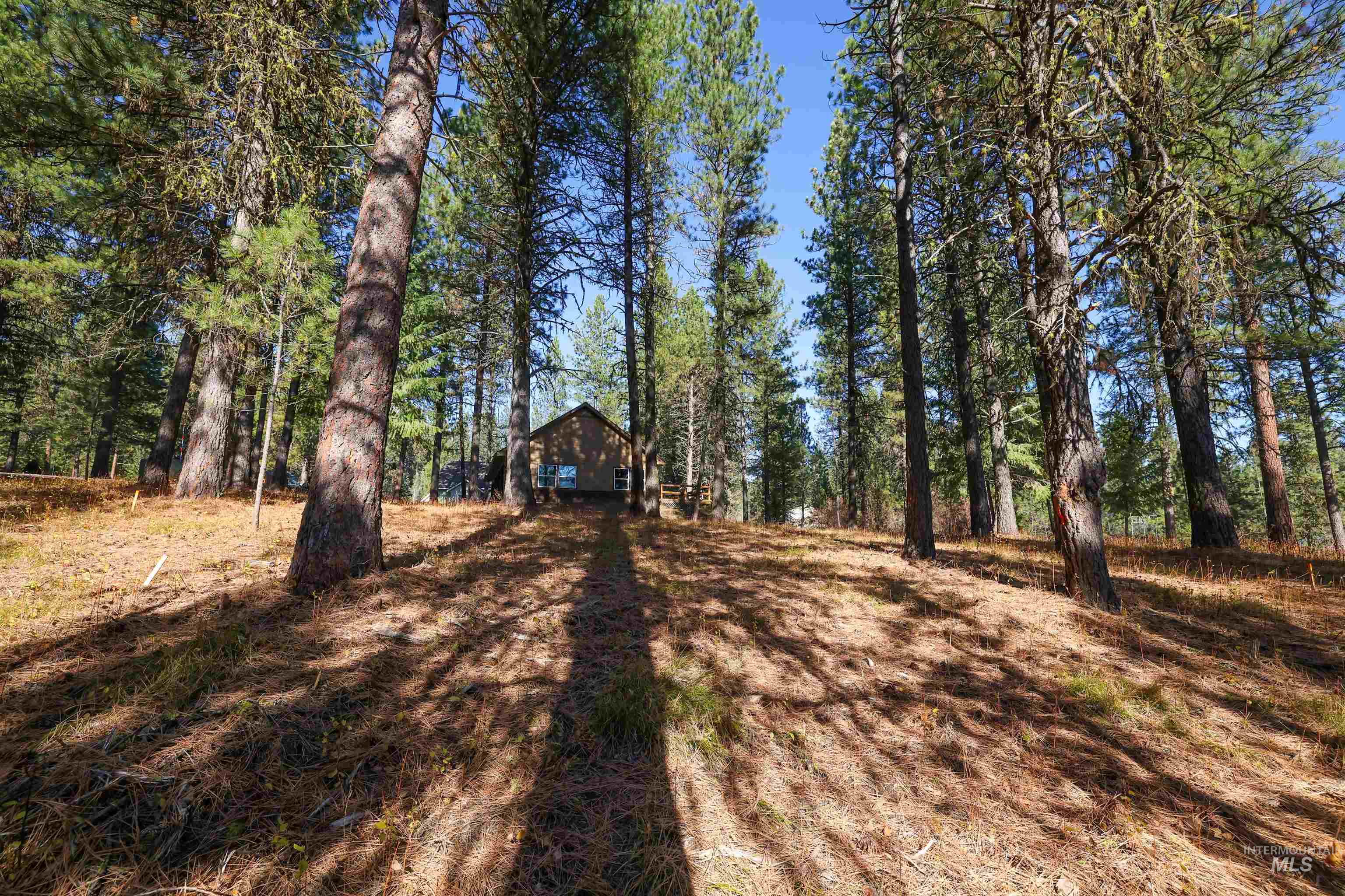 Tbd Columbine Drive Property Photo 10