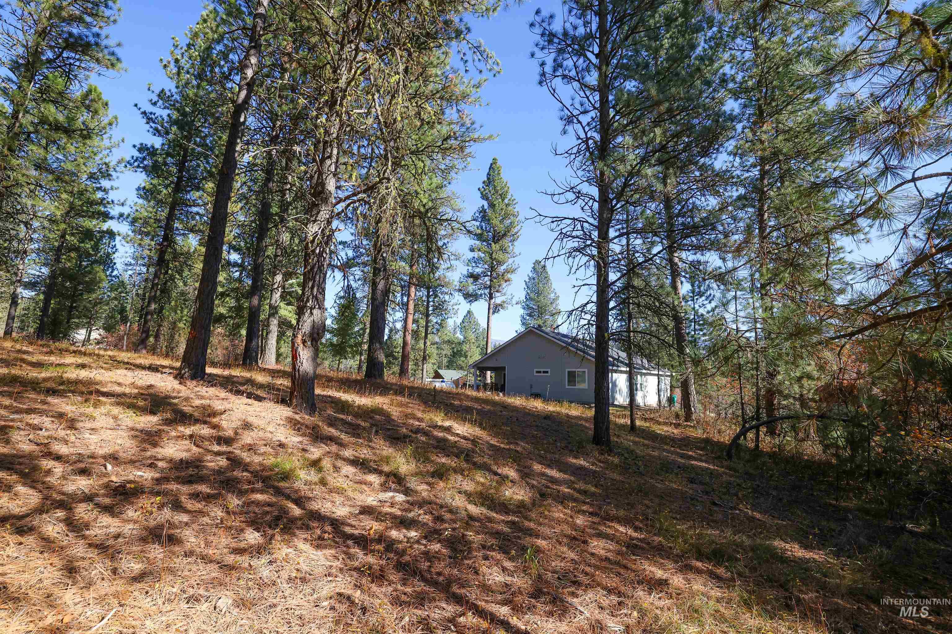 Tbd Columbine Drive Property Photo 11