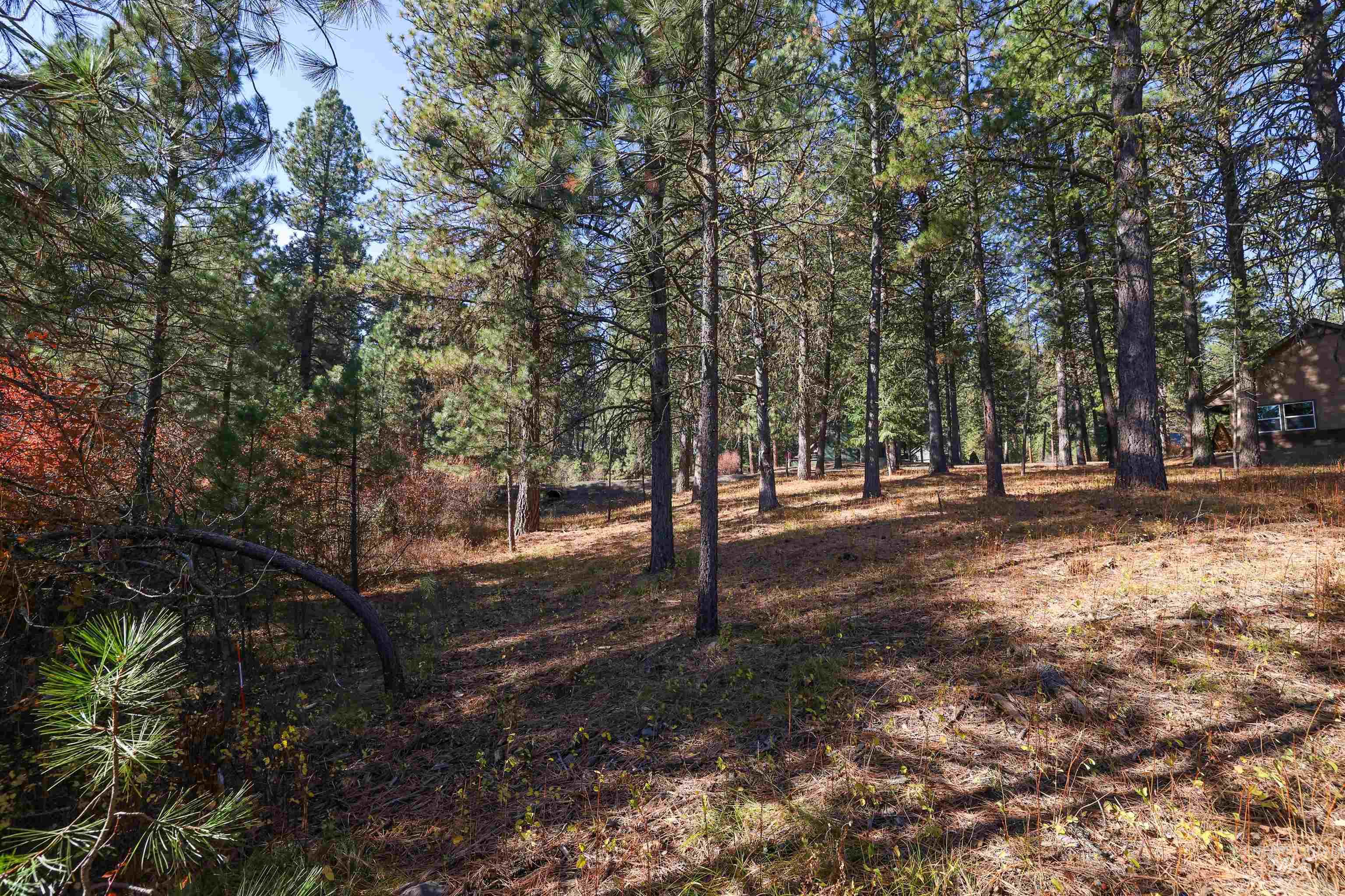 Tbd Columbine Drive Property Photo 12