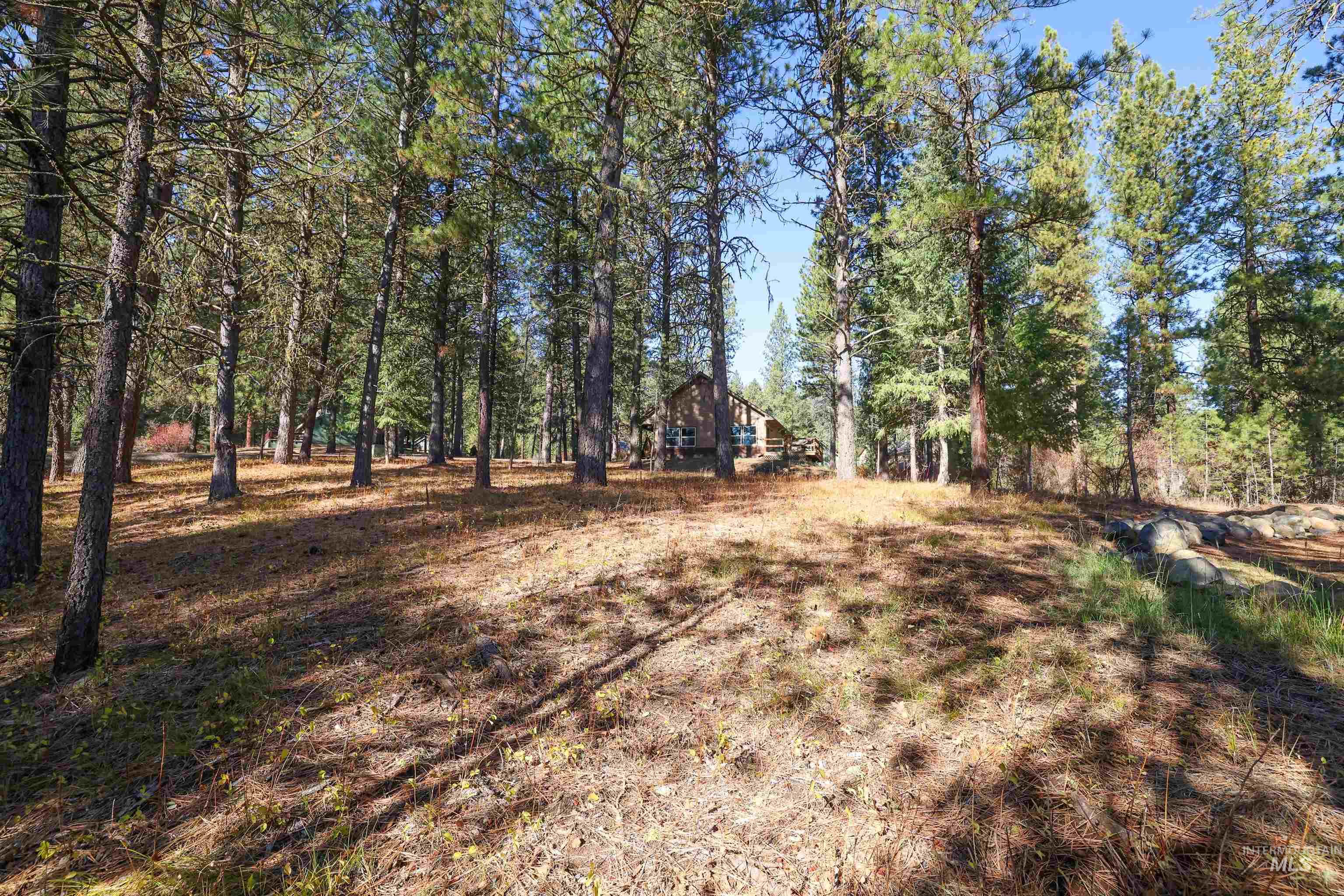 Tbd Columbine Drive Property Photo 13